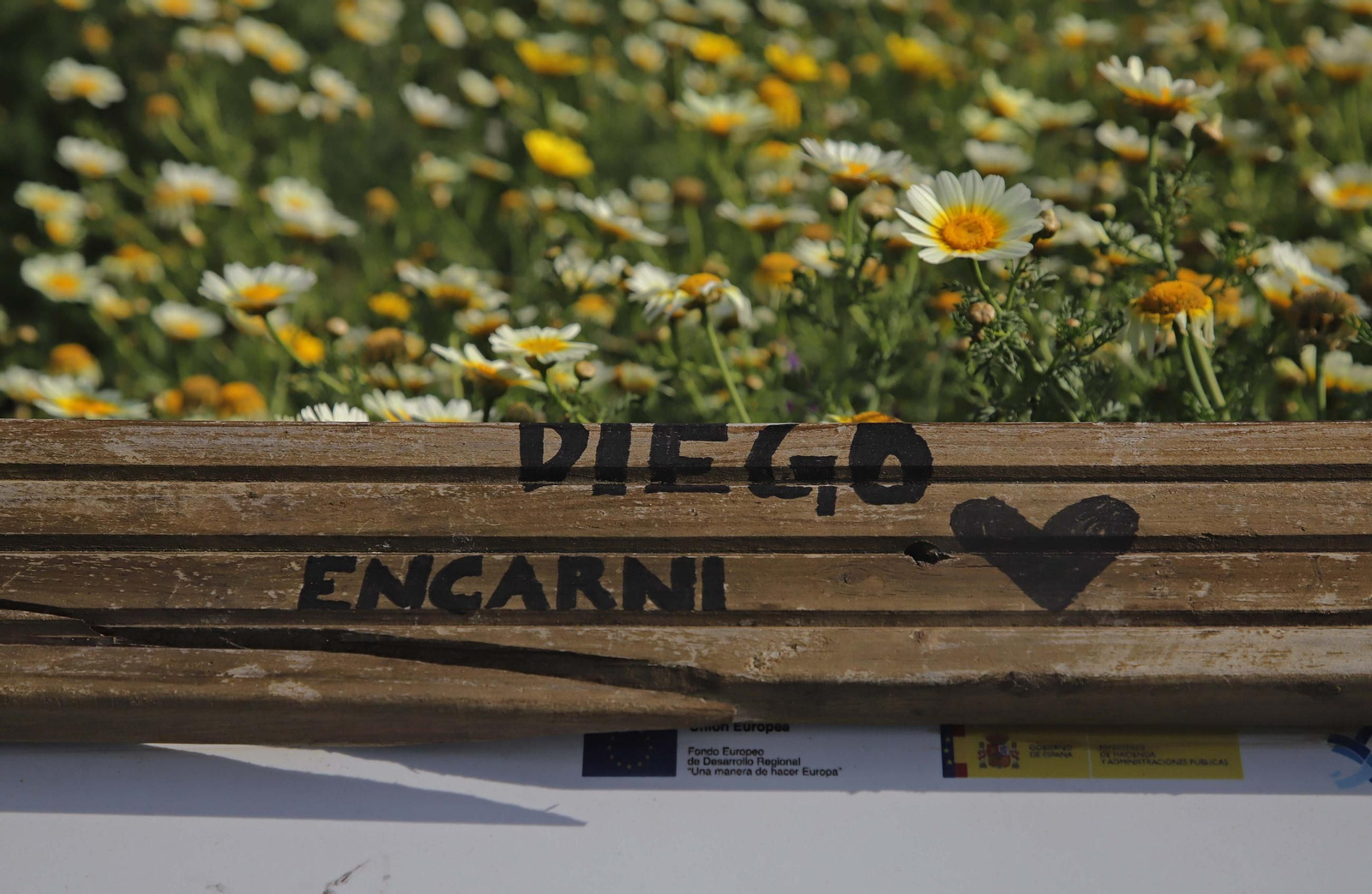 Fotos del estado de abandono del Parque del Centenario de Algeciras