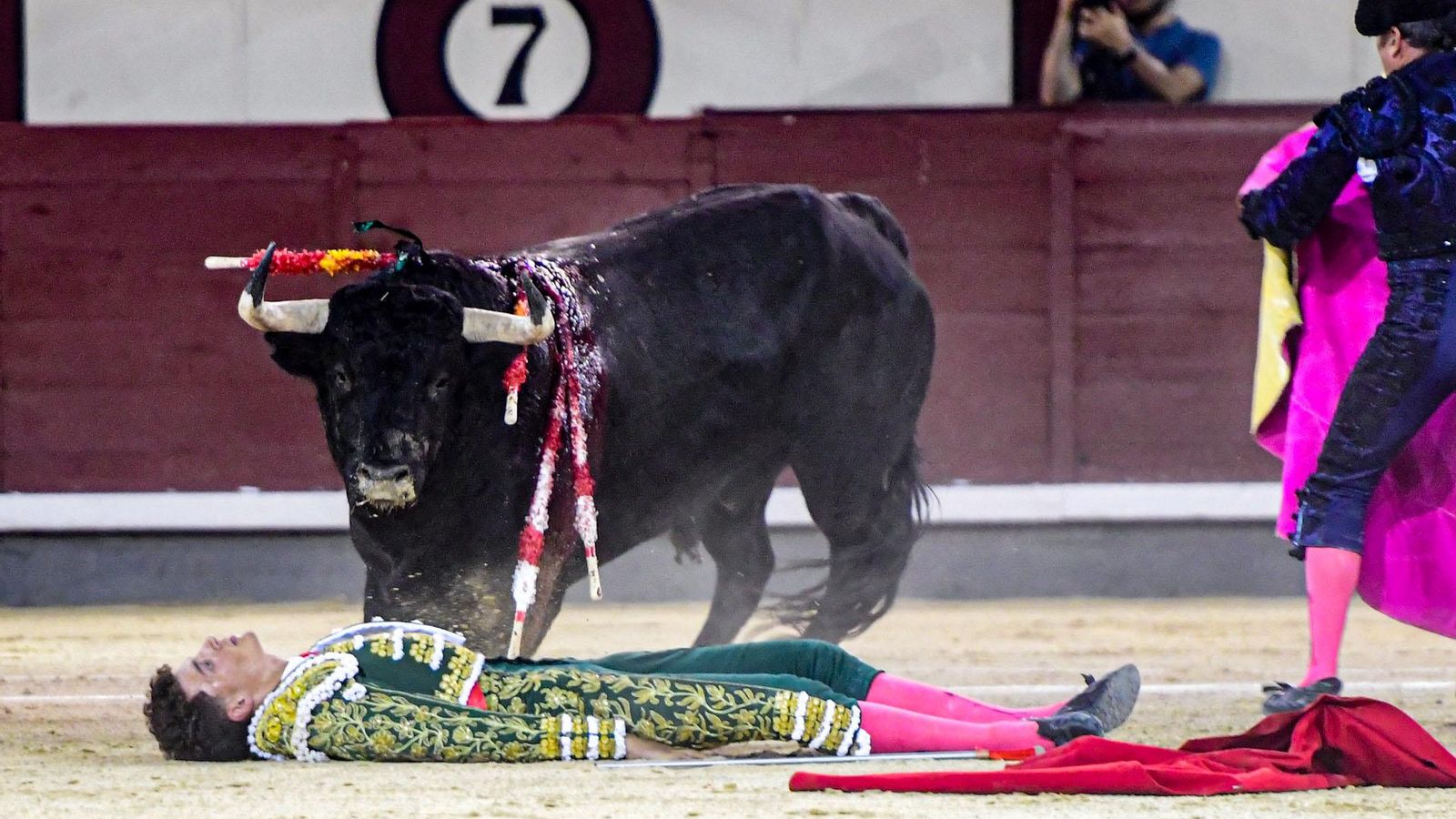 Mariscal Ruiz, completamente inerte en el ruedo de Las Ventas tras ser cogido por un novillo de Los Chospes.