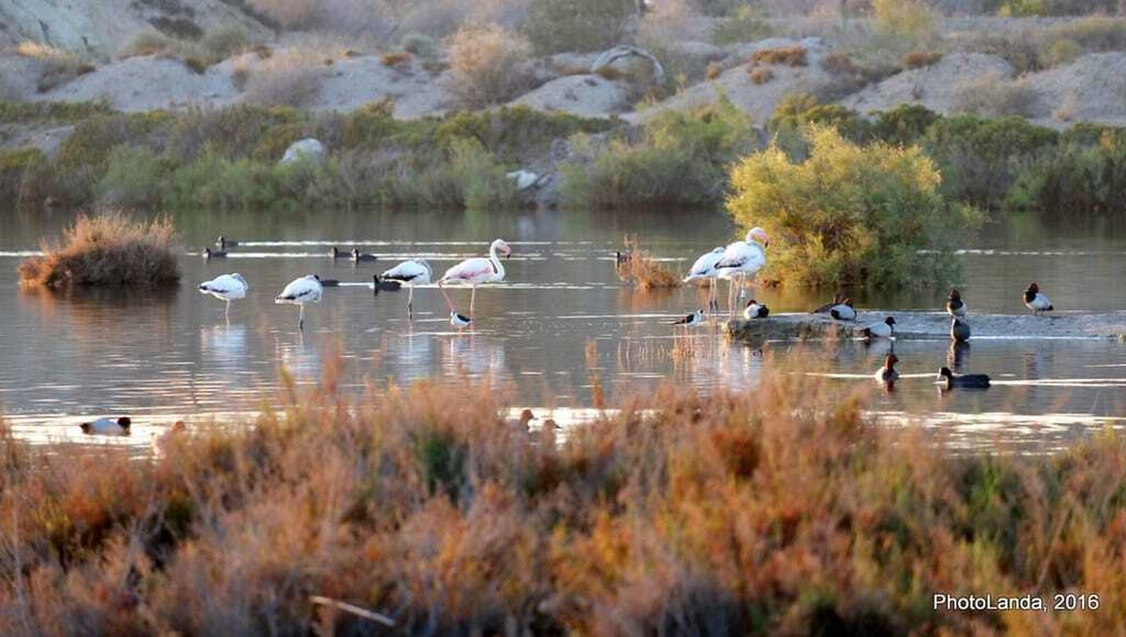 Imagen de archivo de un humedal.