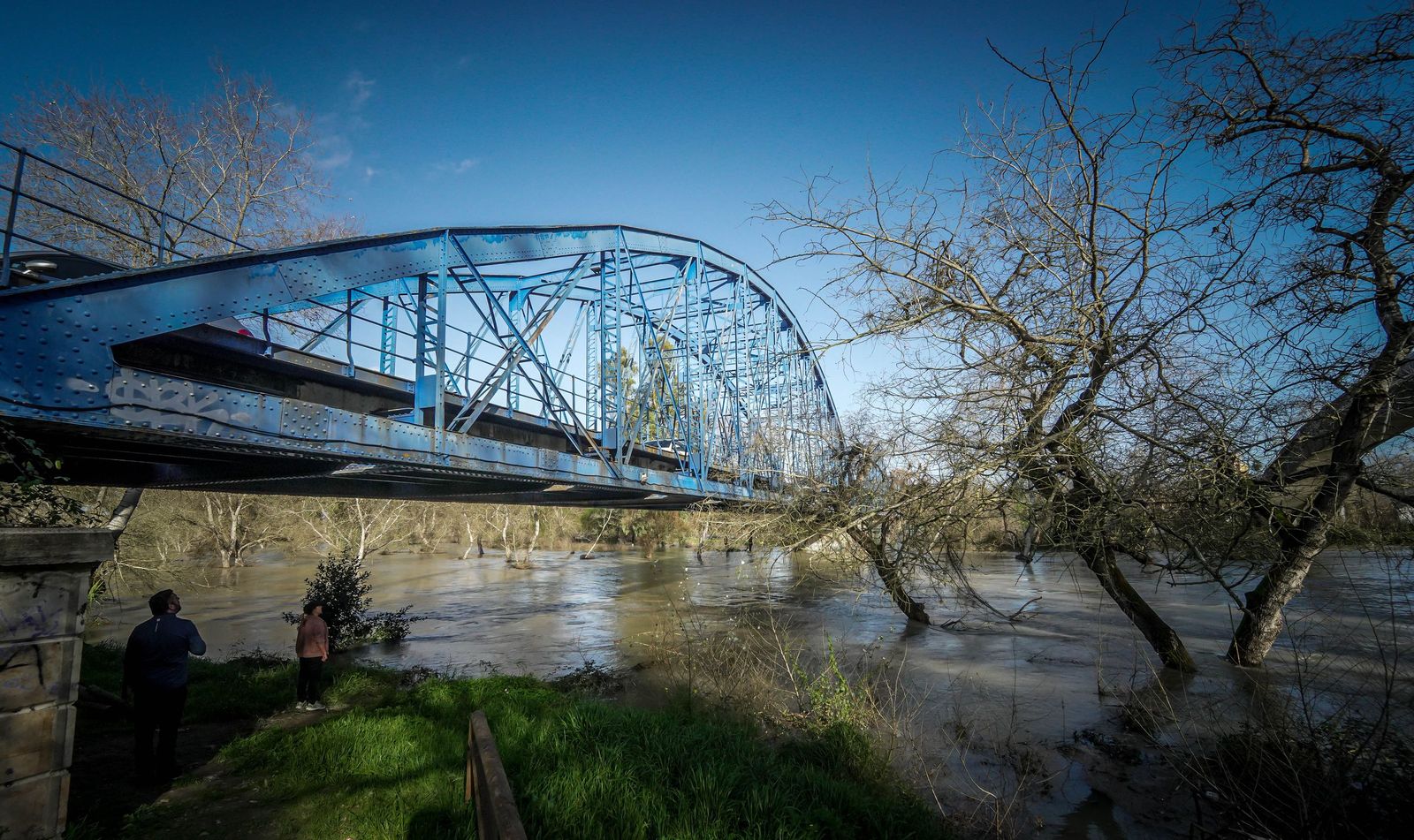 Un día tranquilo en el rio Guadalete, en imágenes