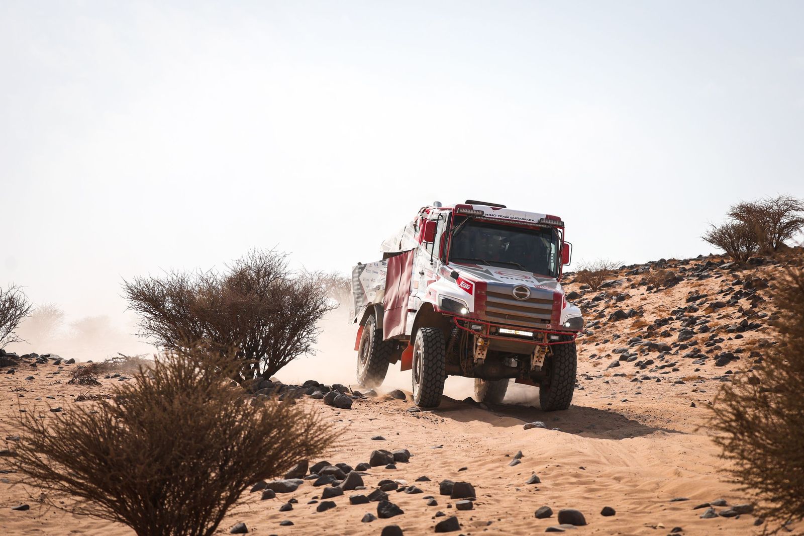 Las mejores fotos del Rally Dakar | undécima etapa