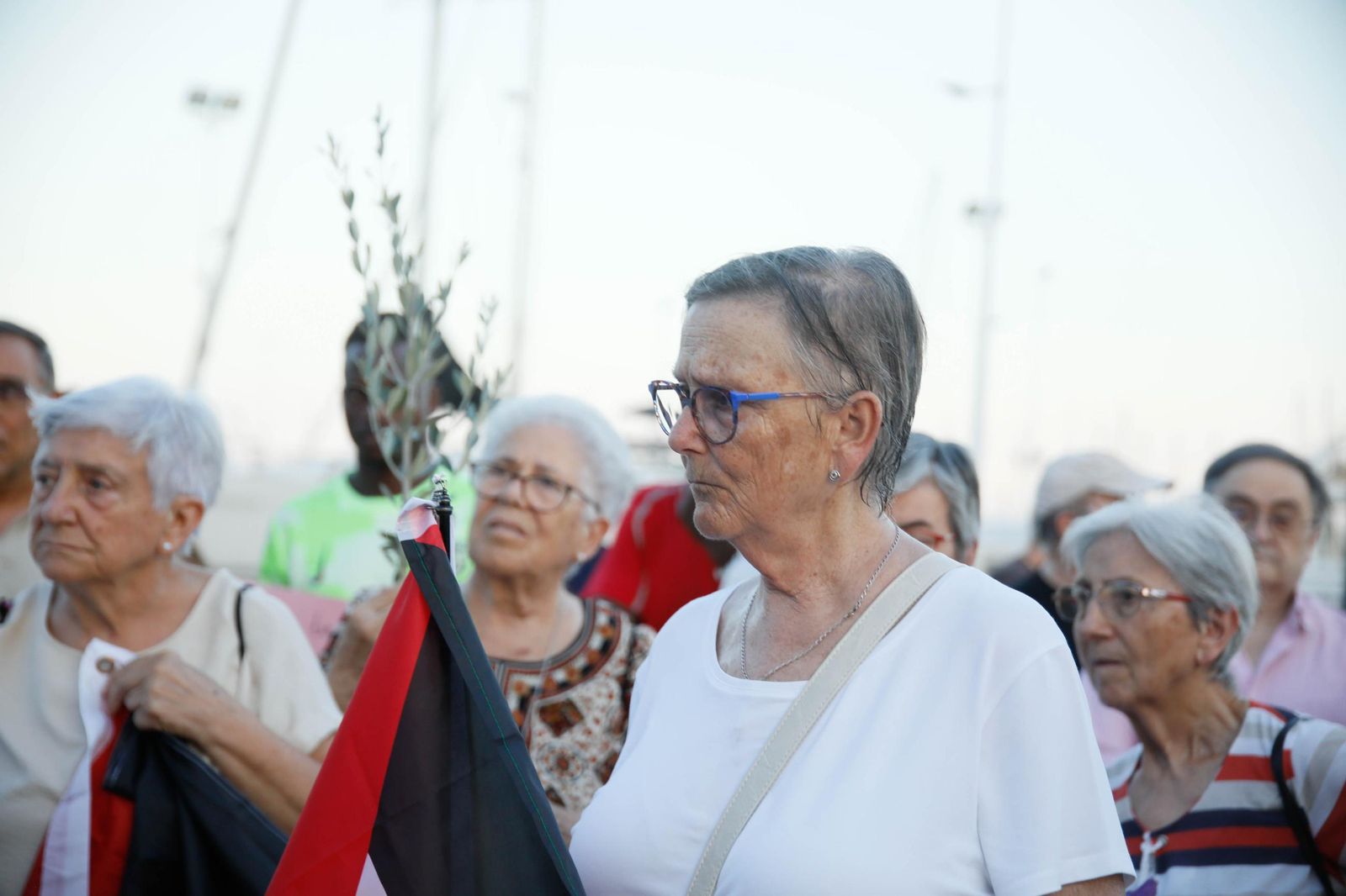 Imágenes de la manifestación en Almería por el genocidio en Palestina