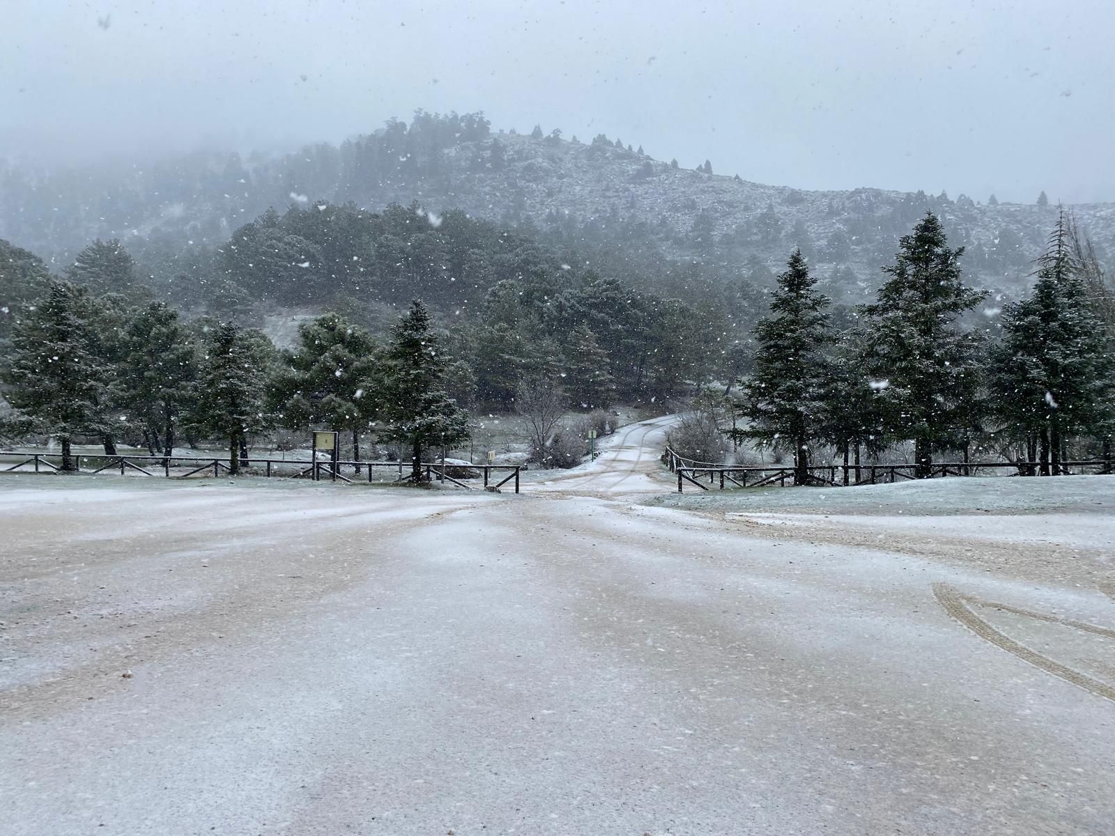 El Parque Nacional Sierra de las Nieves se viste de blanco, en imágenes