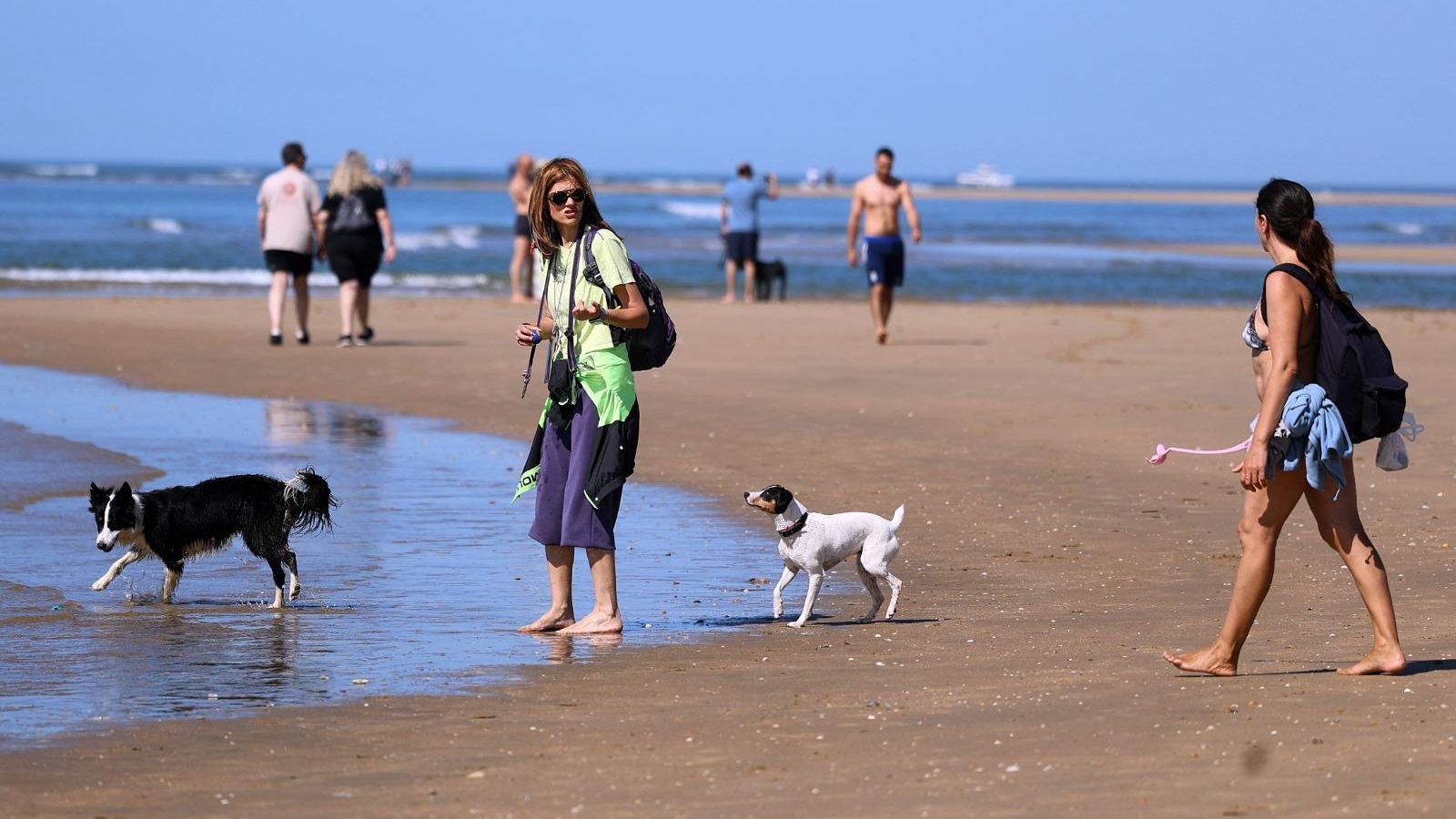 Varias personas pasean con sus perros por la playa.