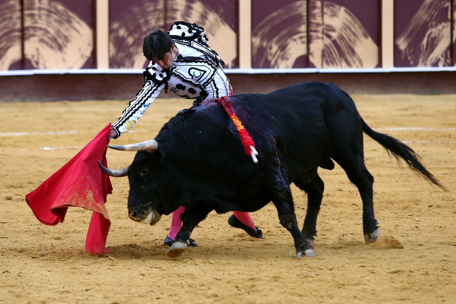 Perera se mostró seguro y decidido ante el mejor lote del festejo.