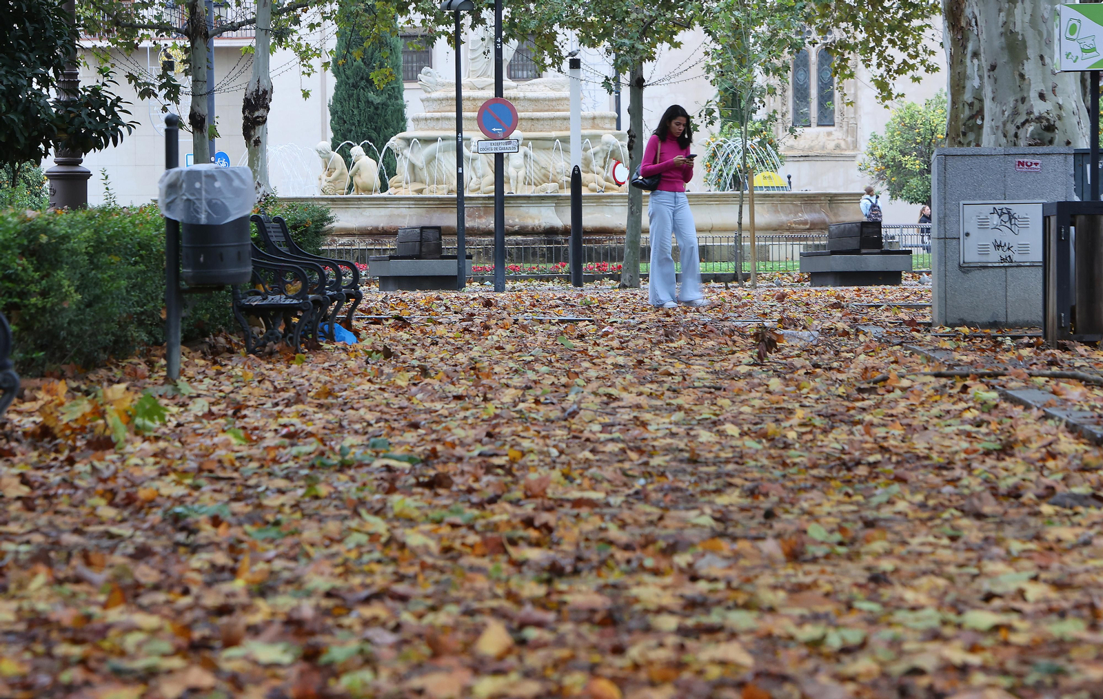 TEMPORAL. LLUVIA Y VIENTO