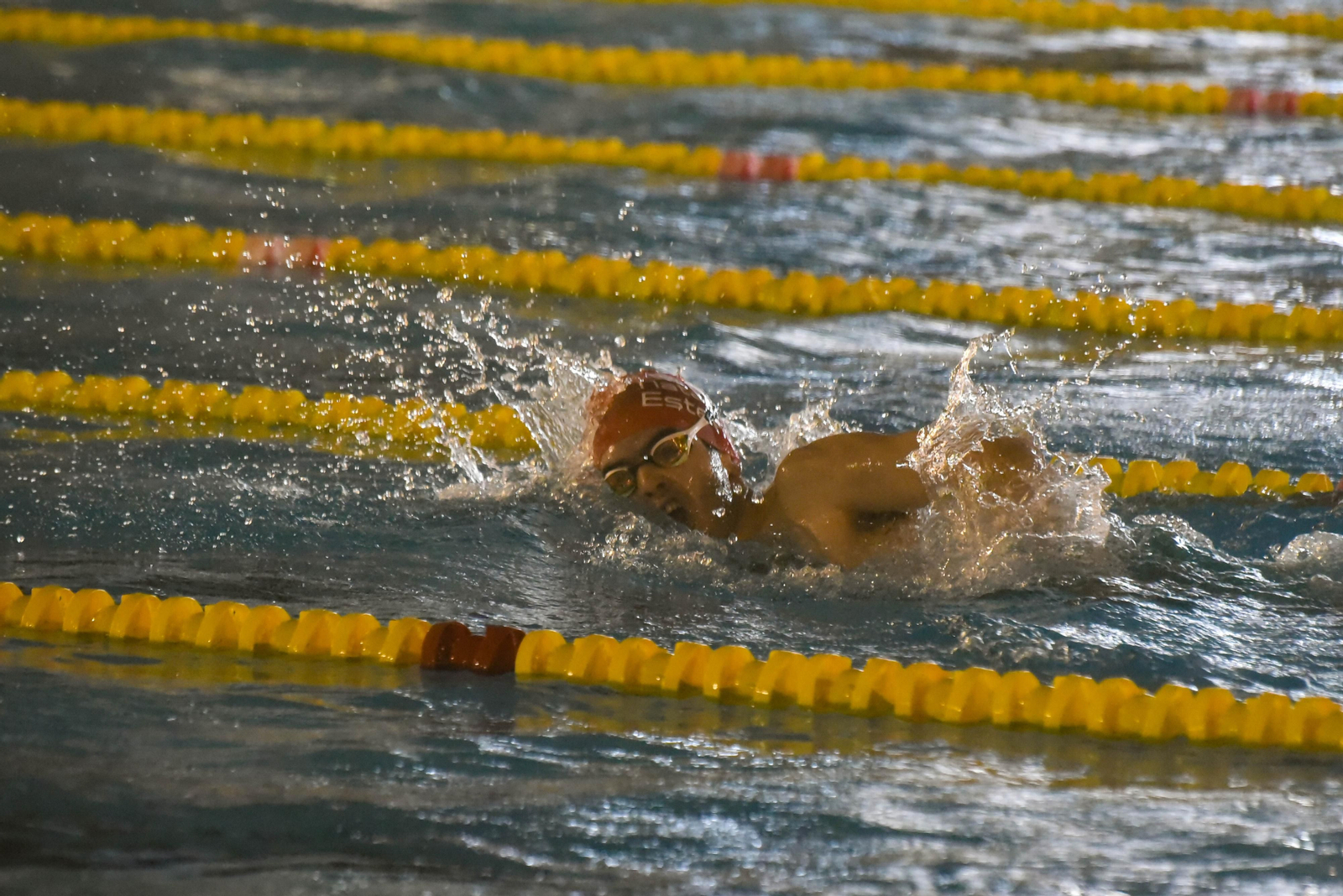 Las fotos del IV Trofeo de natacion Campo de Gibraltar en Los Barrios
