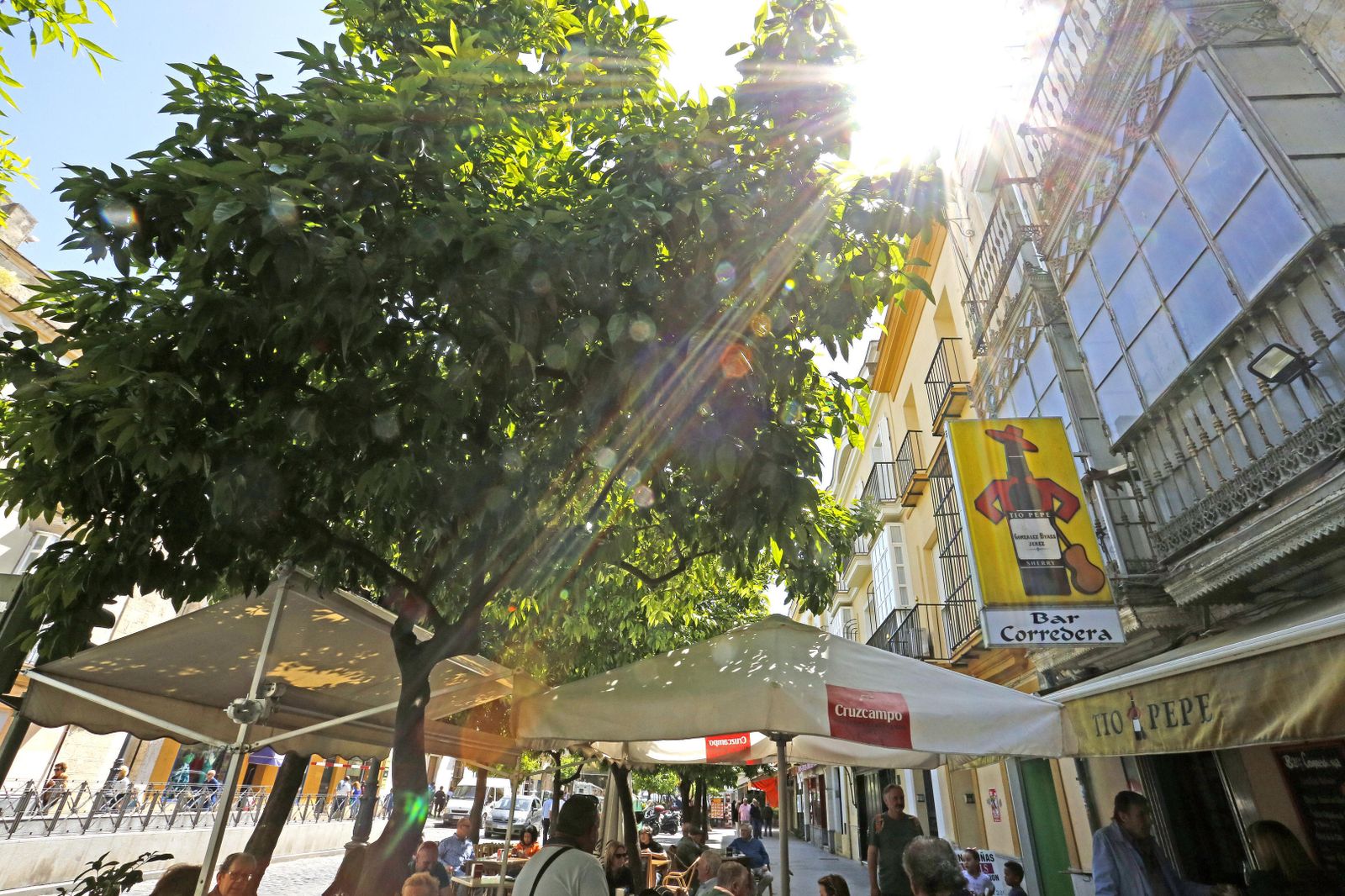 Las alergias al polen de plantas son las más numerosas.