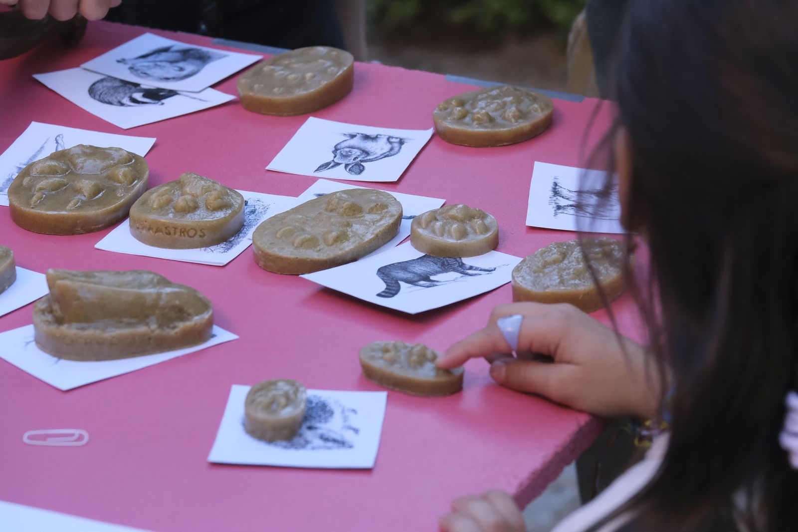 La celebración de la Feria de los Ingenios de Córdoba, en fotografías