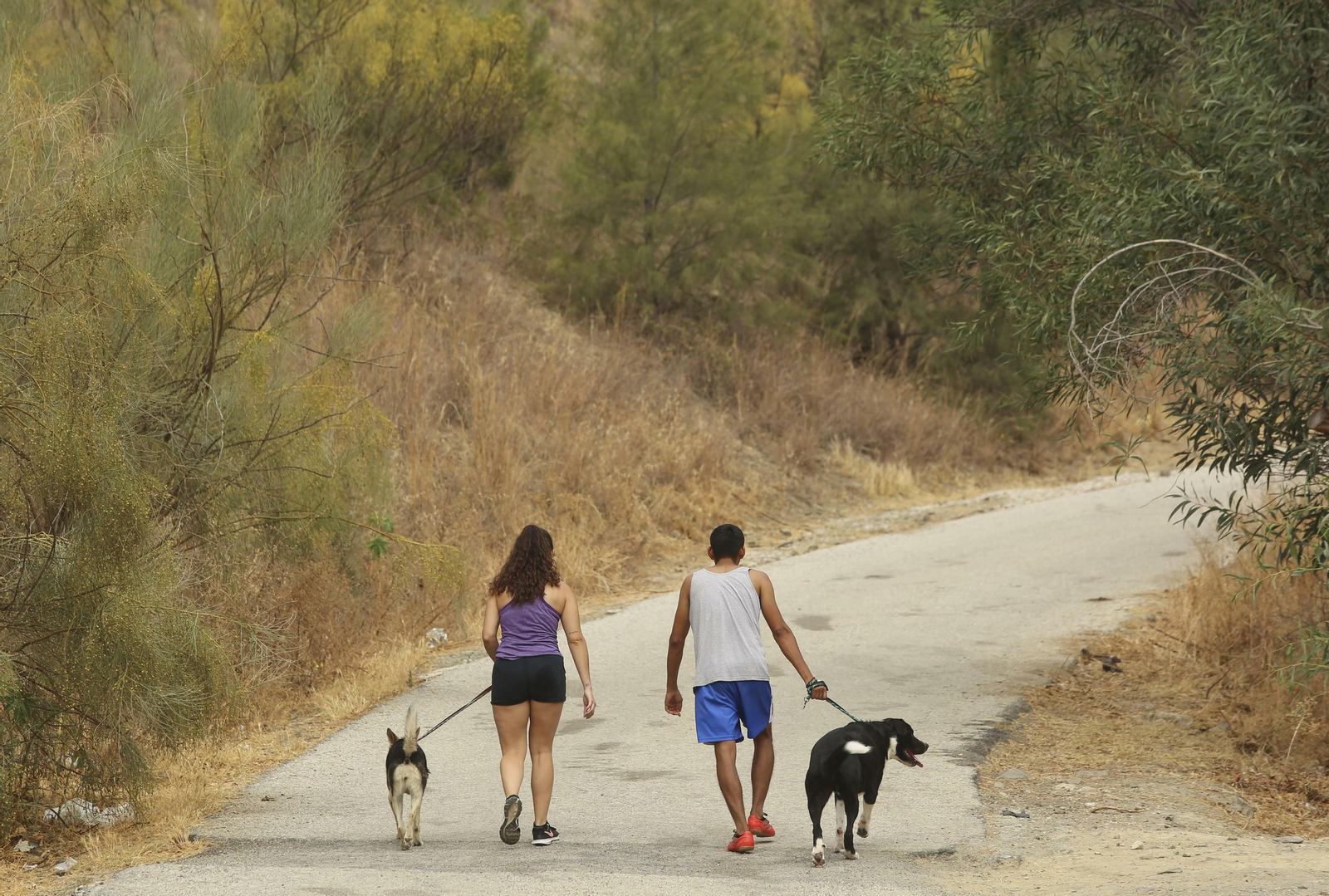 Las fotos de los animales de la Protectora de Málaga Las fotos de los animales de la Protectora de Málaga