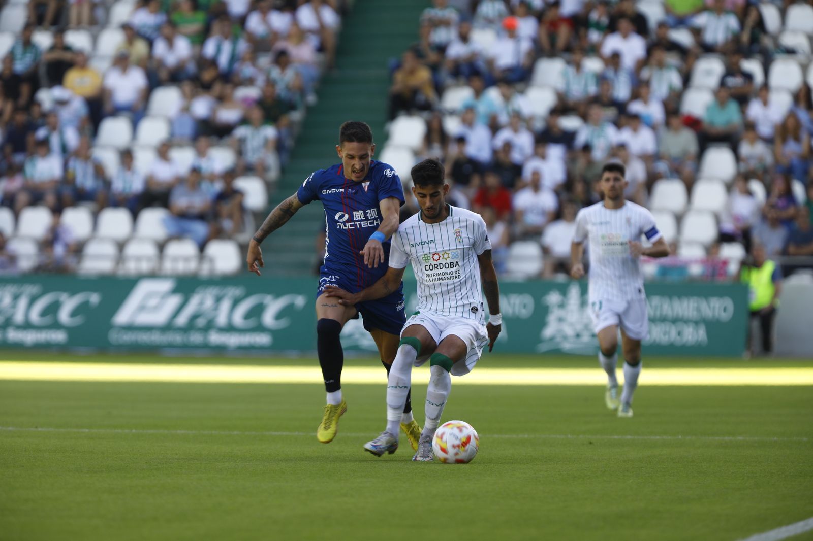 Las mejores imágenes del partido entre el Córdoba CF y el Algeciras