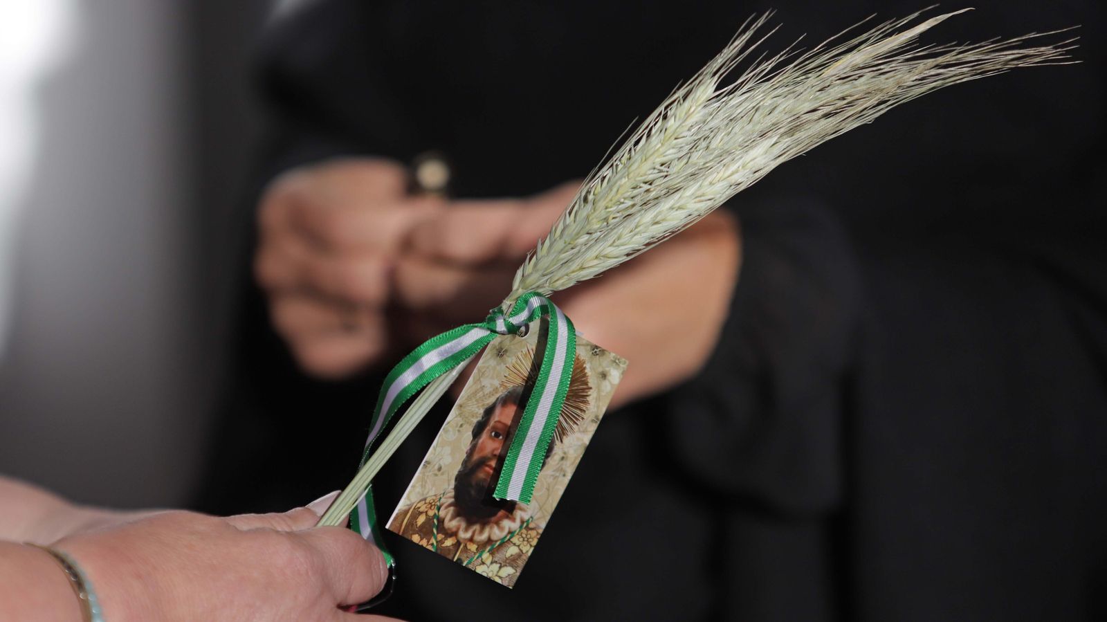 Fotos de la Romería de San Isidro en Los Barrios