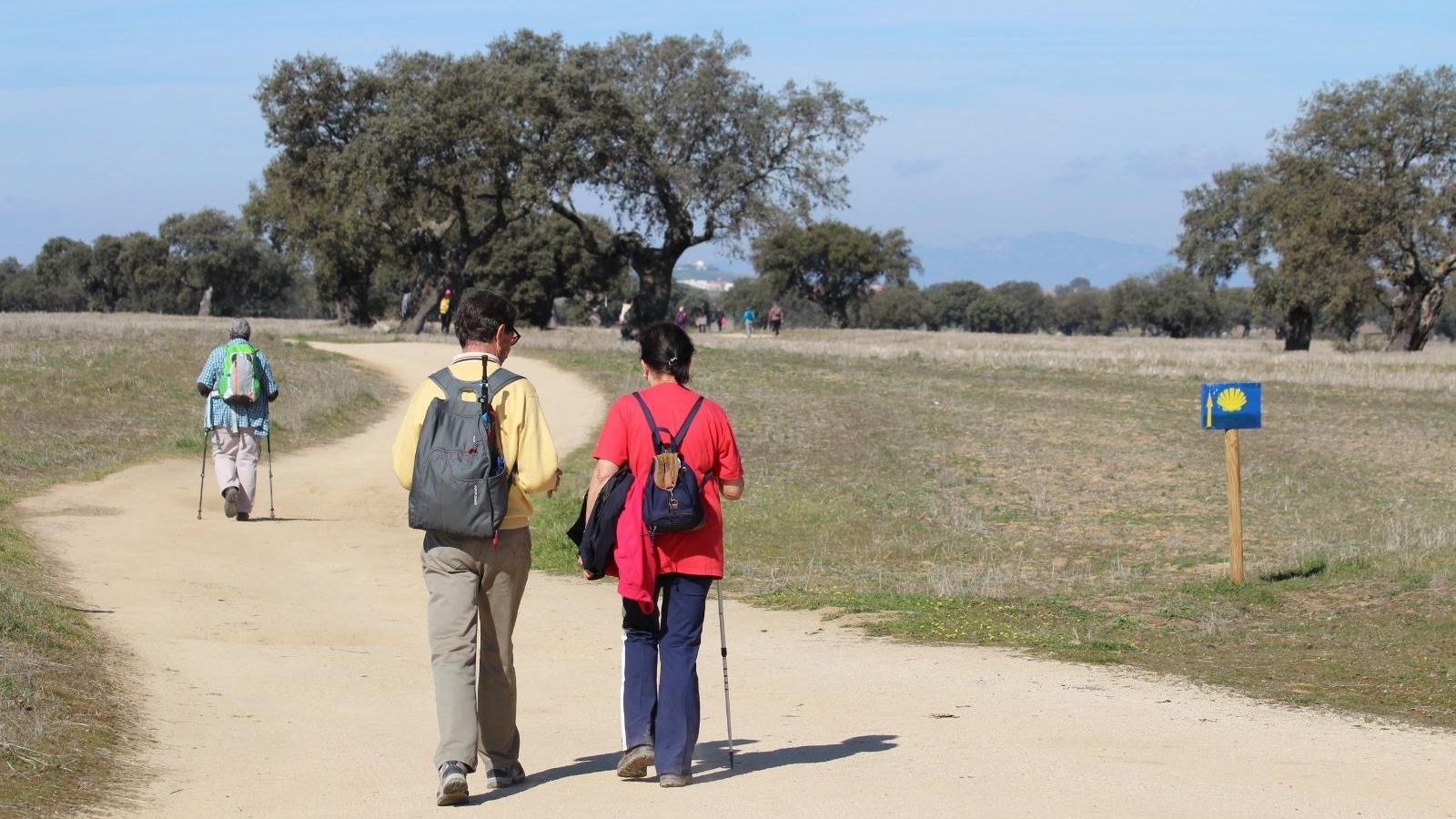 Participantes en una de las rutas del Camino Mozárabe a su paso por Córdoba.
