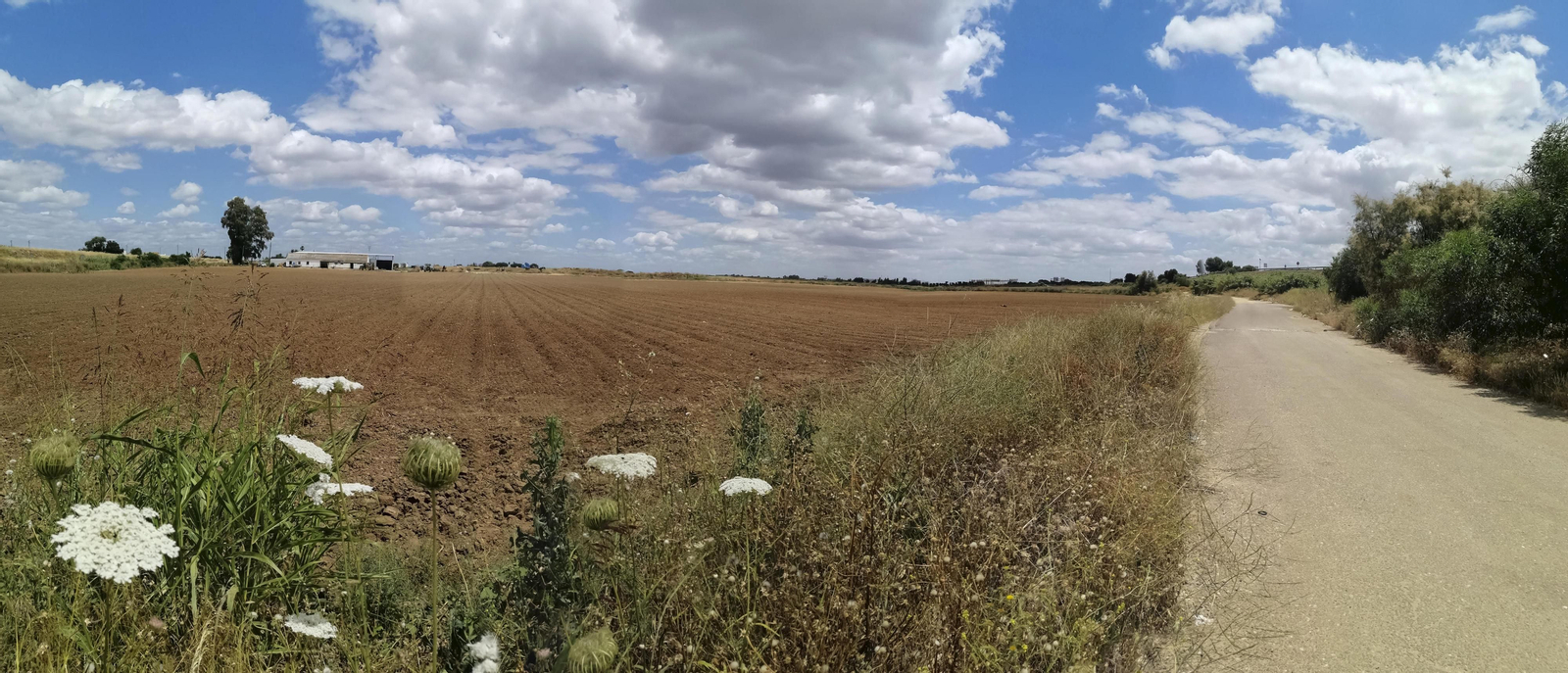 Estado actual de los suelos de San Nicolás Oeste, entre la barriada de Valdezorras y el norte de la autovía A-4.