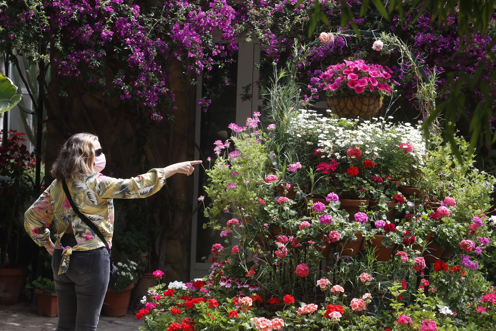 Plaza de las Tazas, 11