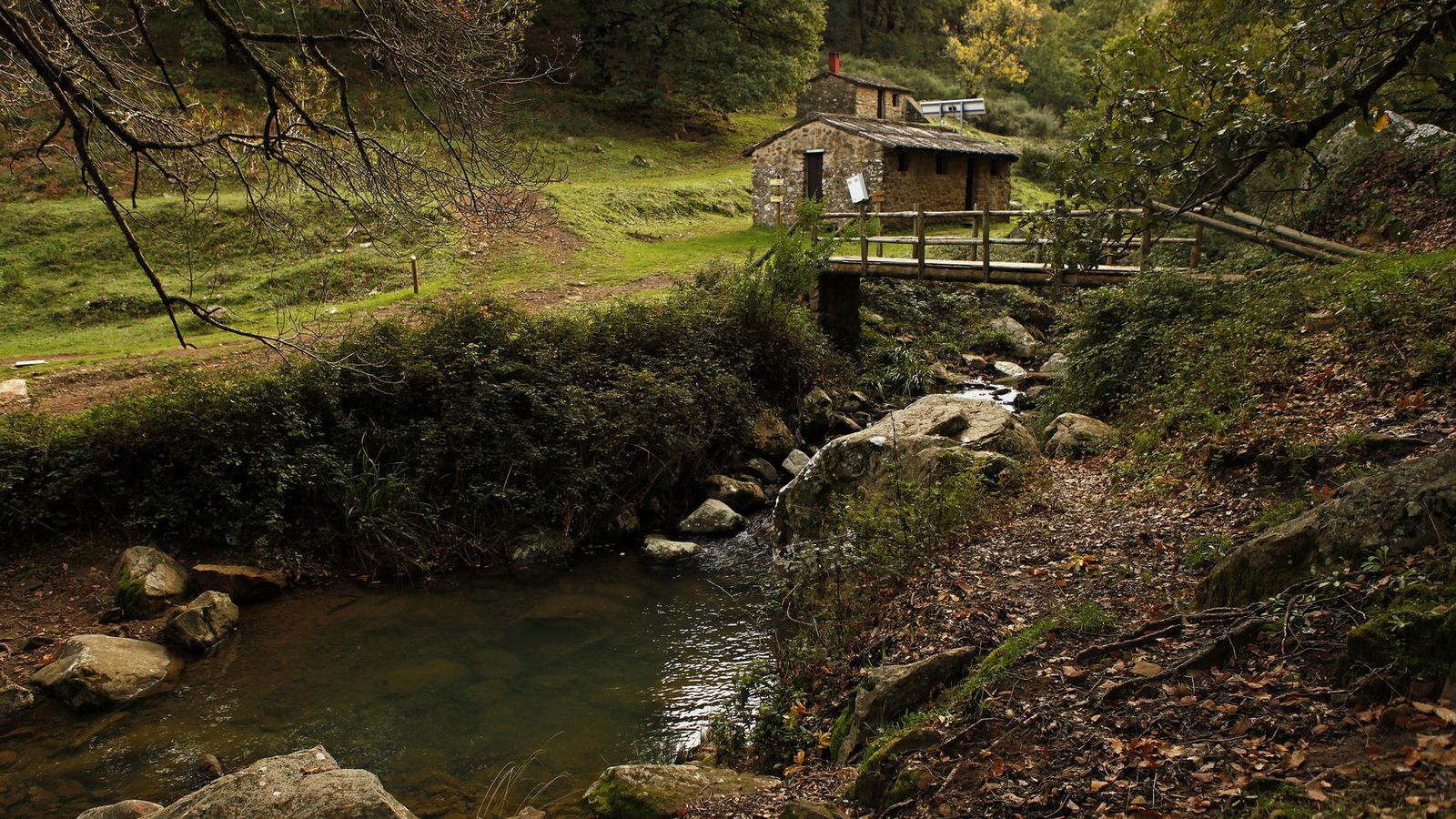 El Despoblado de La Sauceda.