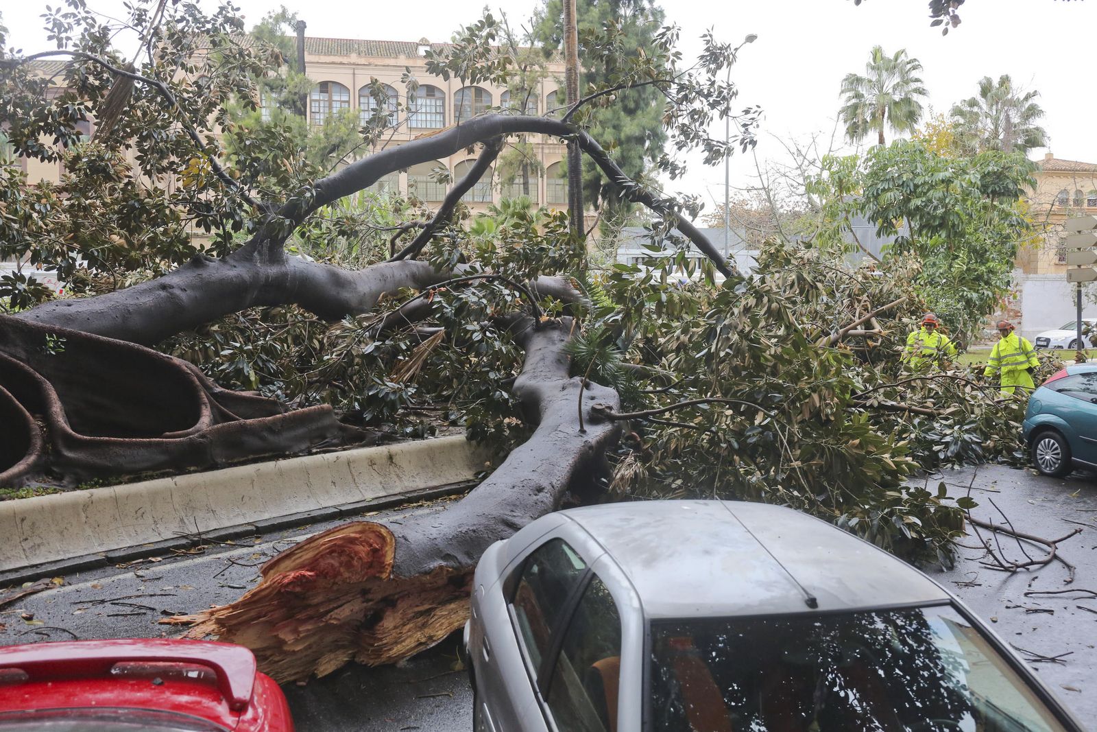 Las consecuencias del paso de 'Ana' por Málaga