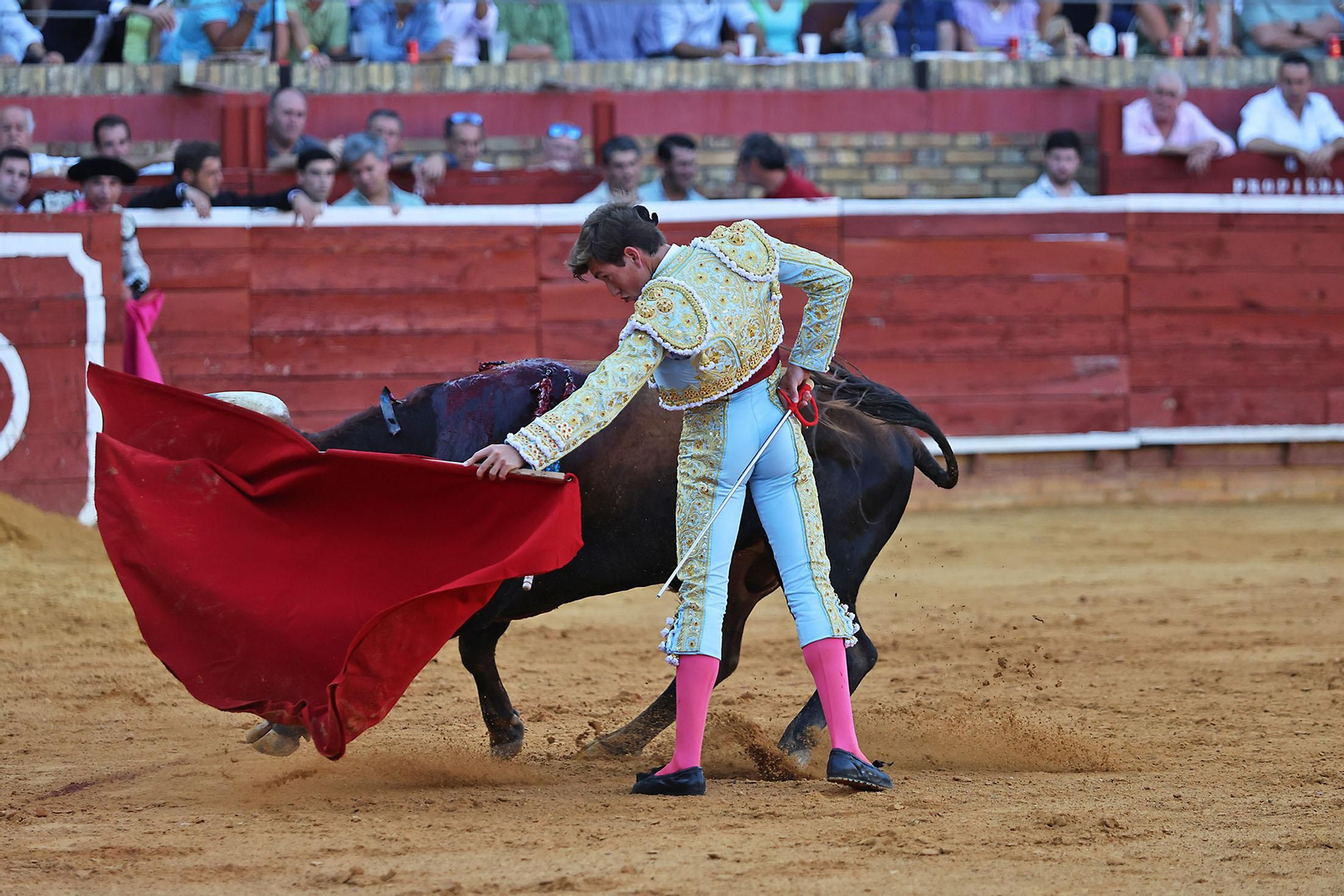 Toros La Merced 2024 Novillada con picadores(