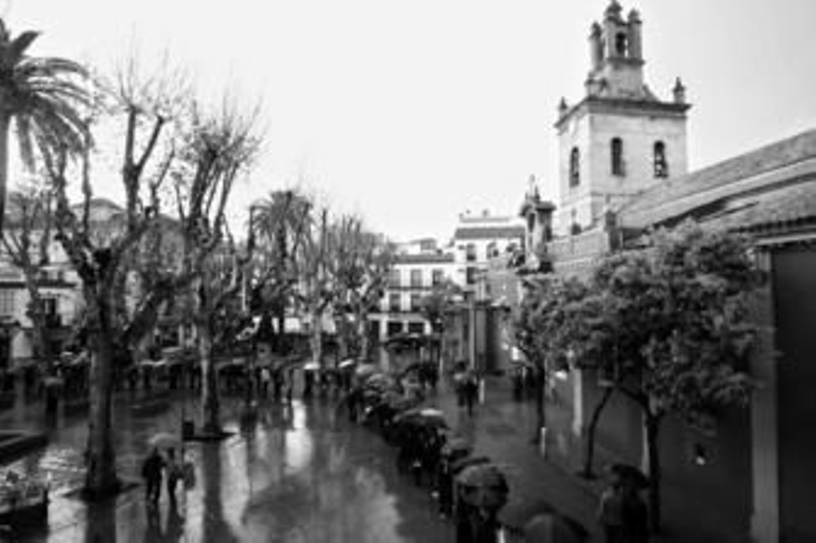 1. Cientos de fieles guardaron el sitio a las puertas de la Basílica del Gran Poder, a pesar de la lluvia. 2. El exorno floral de la Esperanza de Triana,  de tonos blancos y fucsia, impactó a los devotos. 3. Imagen del interior de la Parroquia de la Magdalena. 4. Interior de la Basílica de la Macarena. 5. Pocas mantillas se lucieron ayer. En la imagen una mujer con mantilla en  el Silencio. 6. Fila humana en el exterior del templo de los Gitanos.