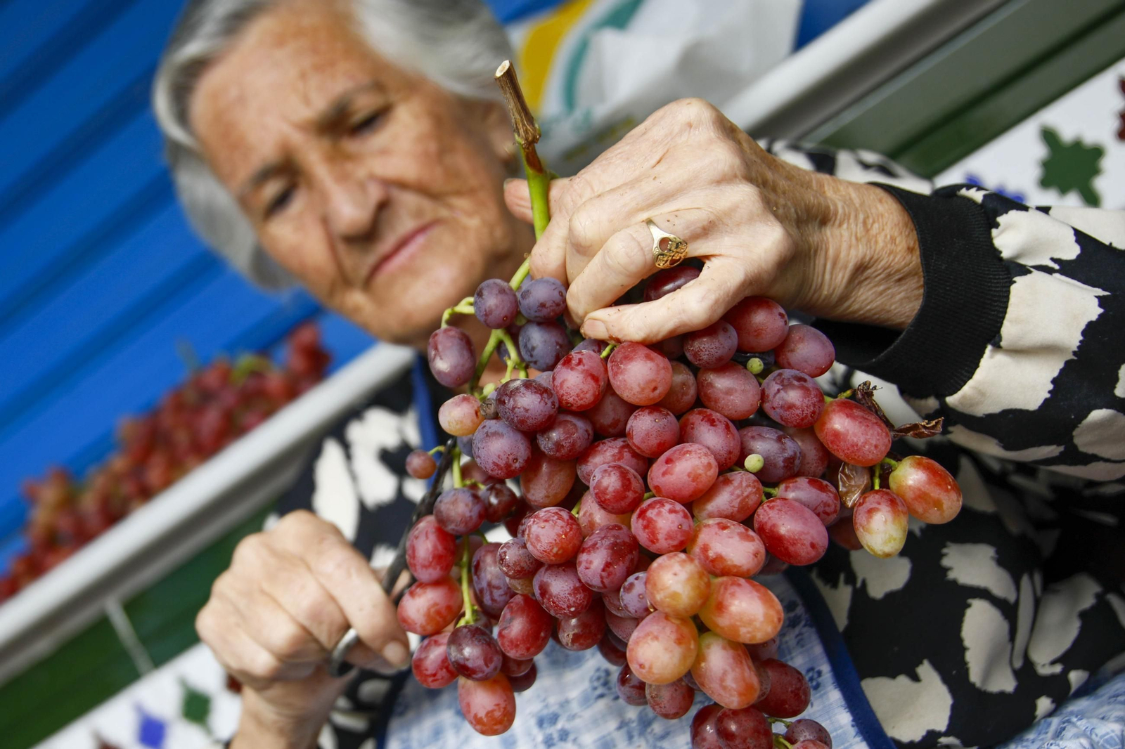 La tradicional faena de la uva de Canjayar, en imágenes