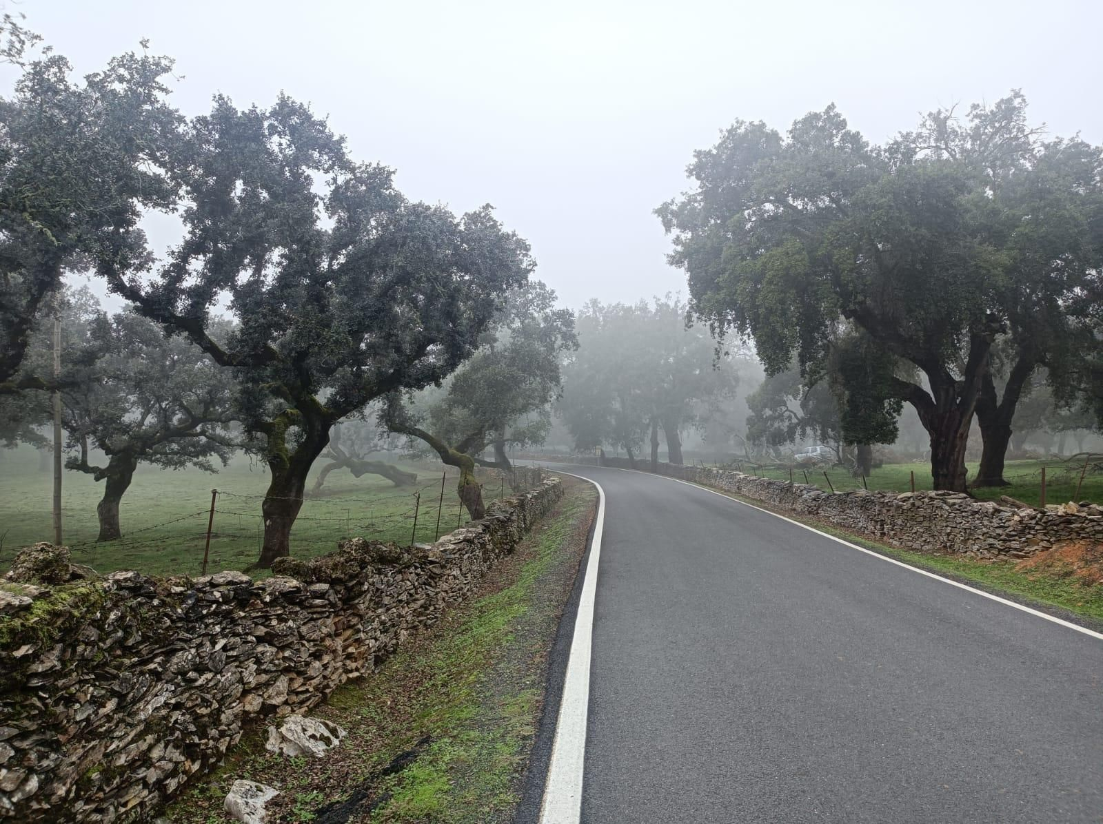 Damos con un cruce: nos desviamos por la carretera de la derecha, que va a Corteconcepción.