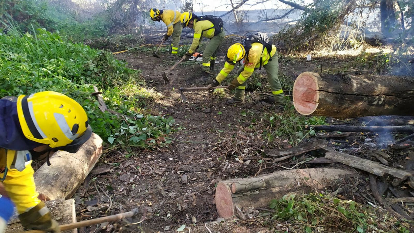 Efectivos del Cedefo de Cabezudos trabajando en el incendio de Almonte.