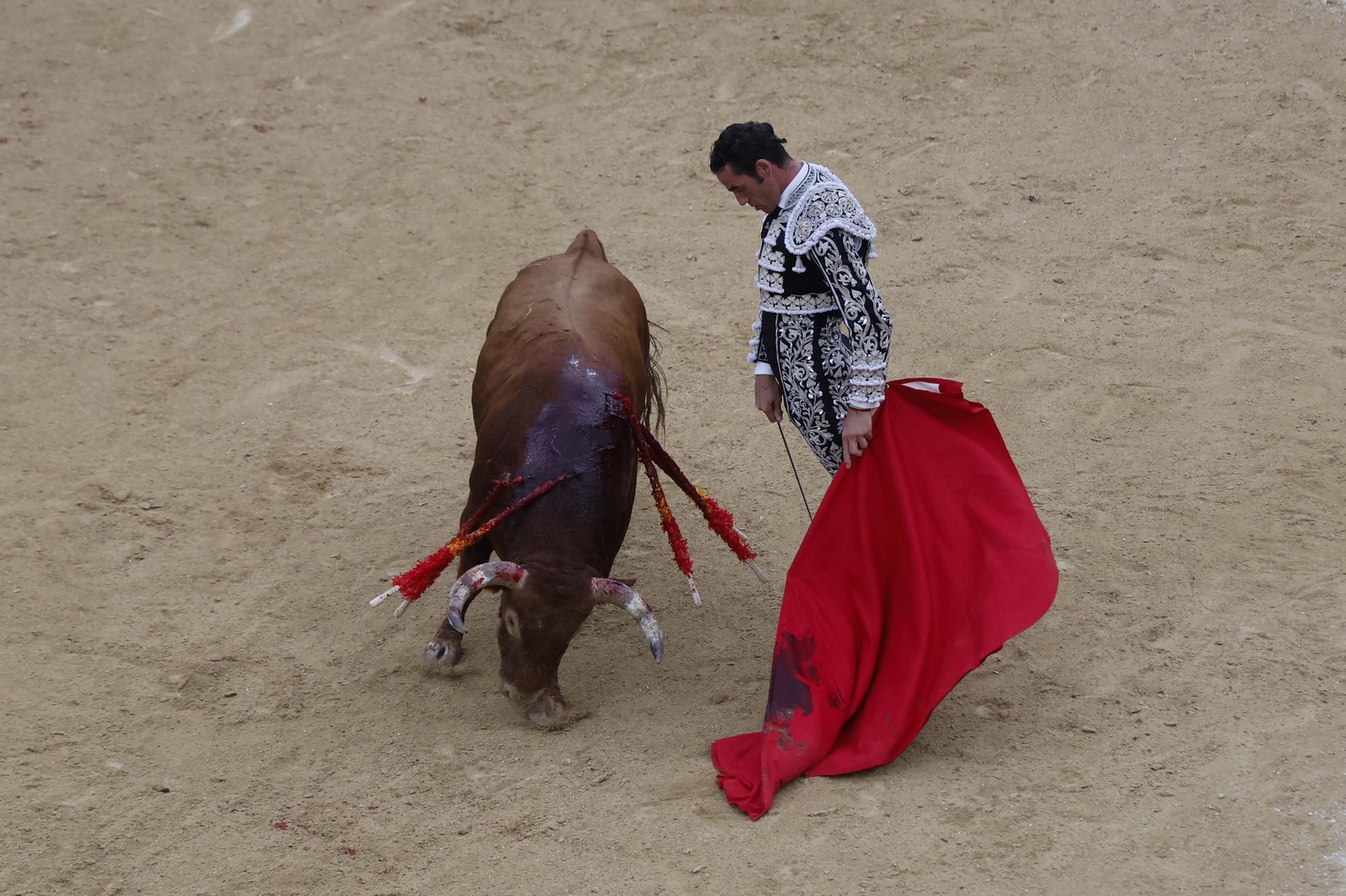 Las fotos de la corrida de toros de Lagunajanda para Manuel Escribano, David Galán y Pepe Moral en Tarifa