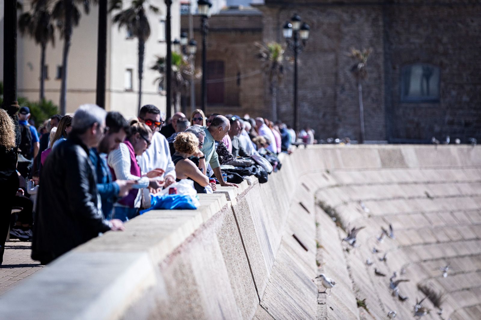 Búscate en la Gambada Solidaria Popular 2025 en Cádiz