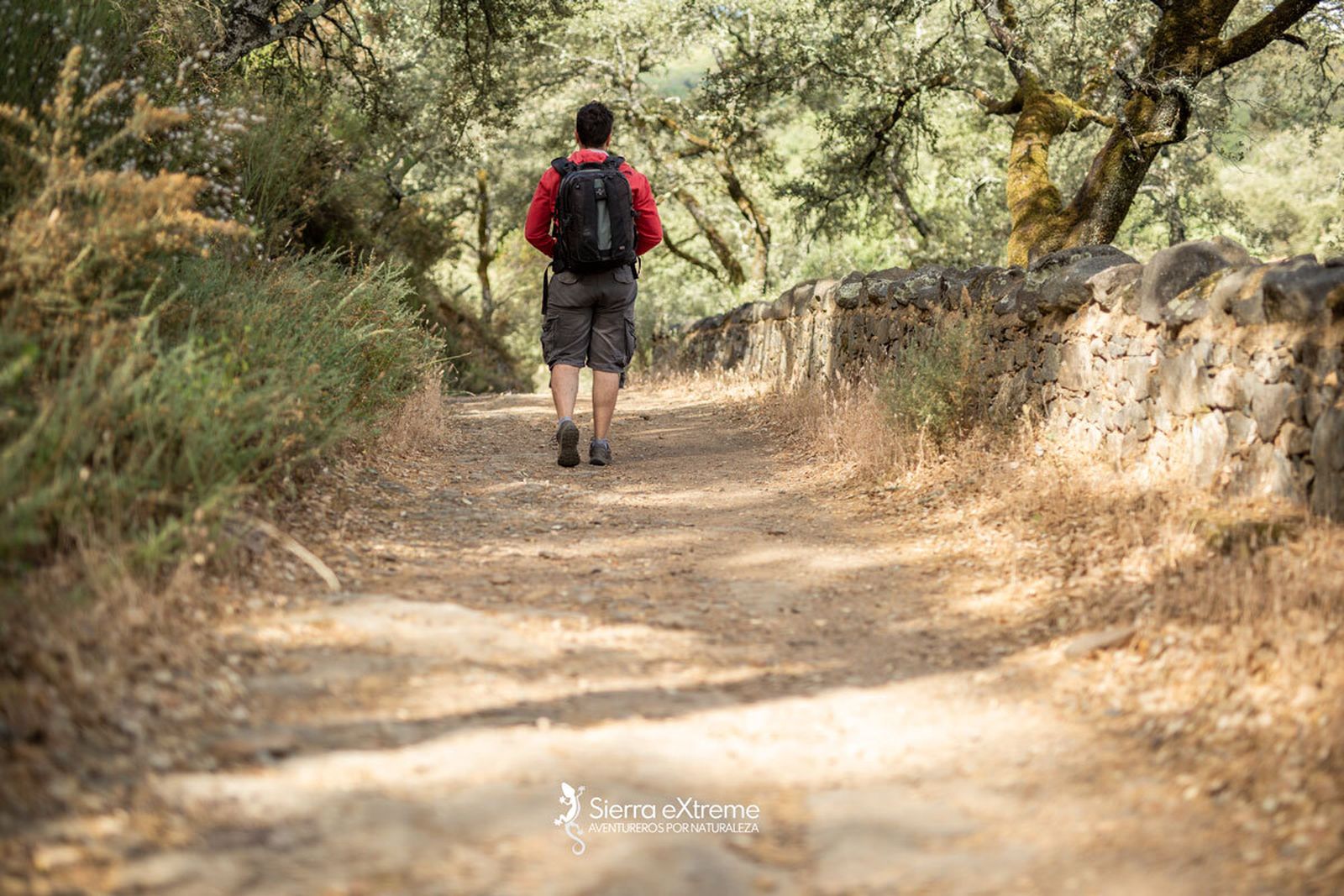 Lunes Santo alternativo: qué hacer si no vas a ver los pasos en Huelva