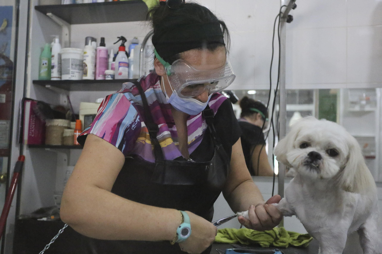 Las fotos de la primera jornada de la fase 0 de la desescalada en Málaga