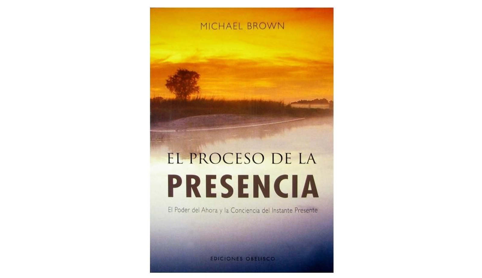 El Proceso de la presencia