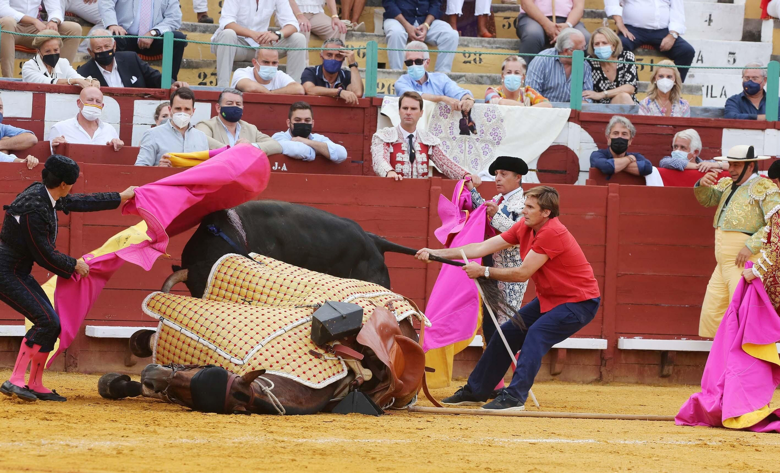 Imágenes de la vuelta de los toros a Jerez Imágenes de la vuelta de los toros a Jerez