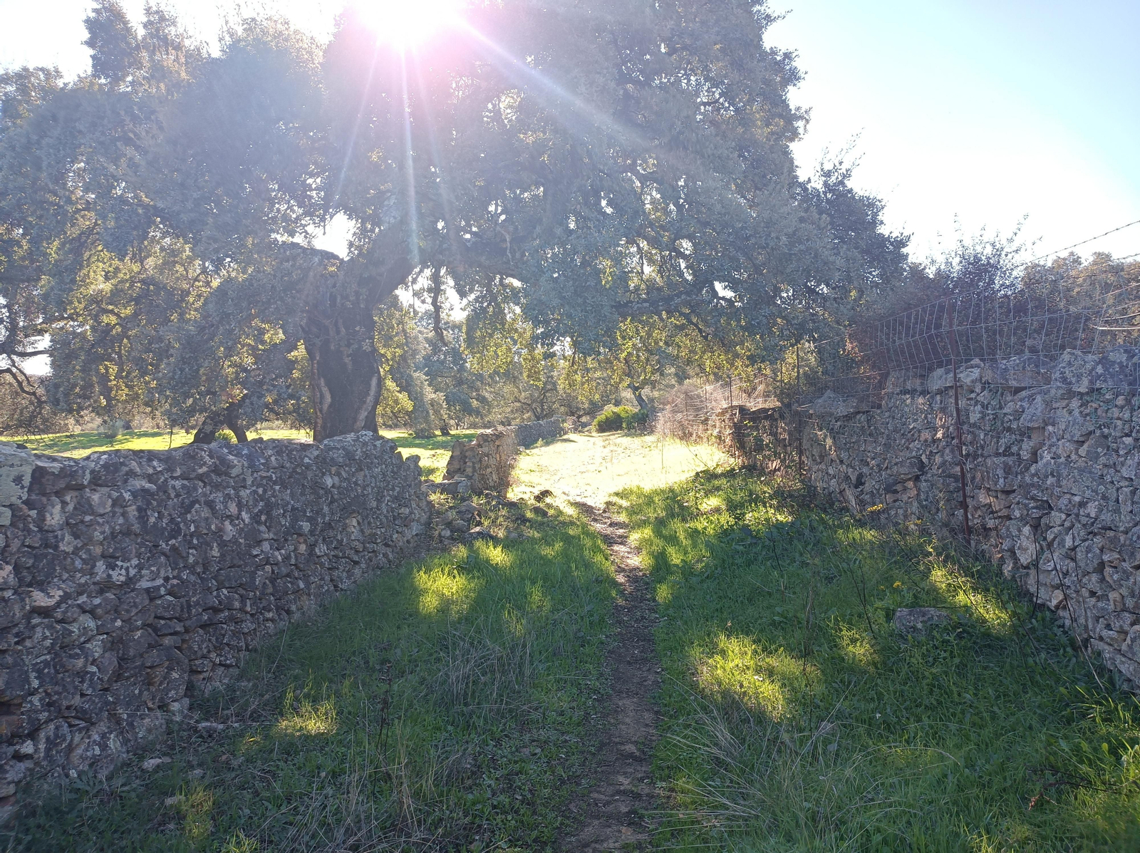 Ruta de Las Cañadillas