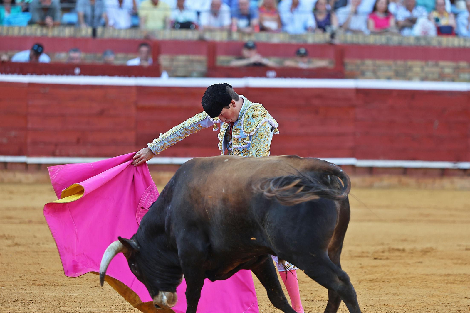 Toros La Merced 2024 Novillada con picadores(