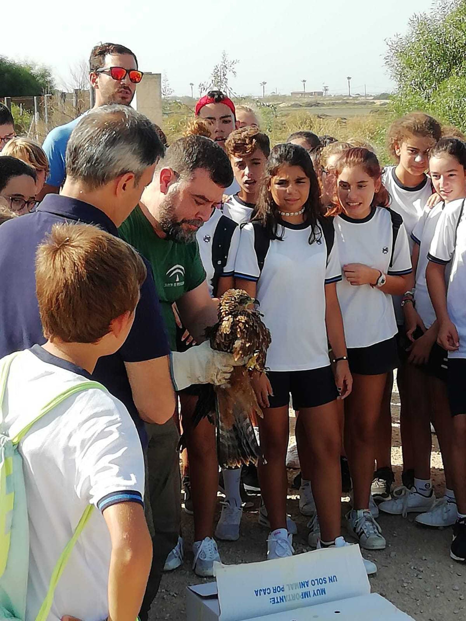 Suelta de aves en el parque Bahía de Cádiz