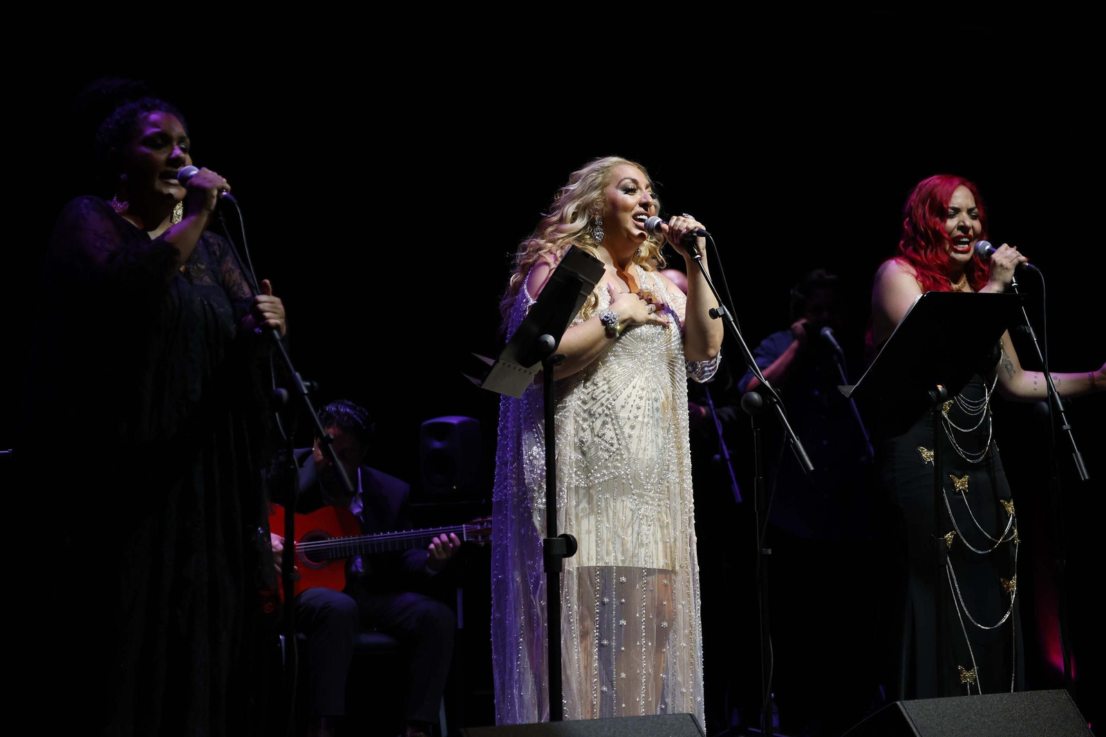 Fotos del concierto de la familia de Camarón en La Línea Flamenca