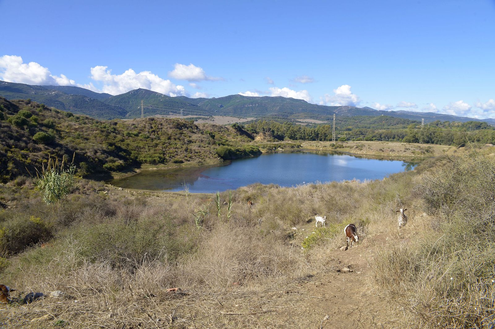 Laguna Huerta de Las Pilas
