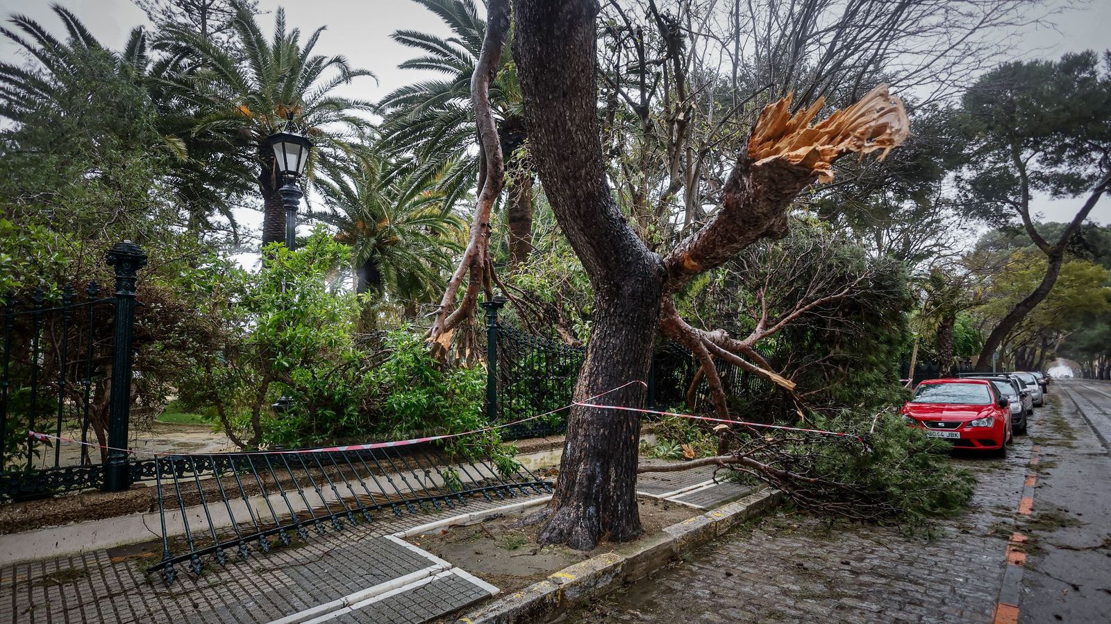 Imágenes de las incidencias y destrozos provocados por la borrasca Kristin en Cádiz