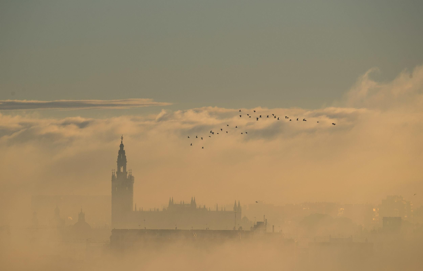 La niebla cubre Sevilla