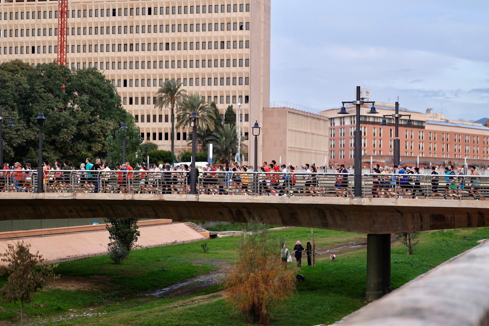 Las fotos de la Maratón de Málaga 2025