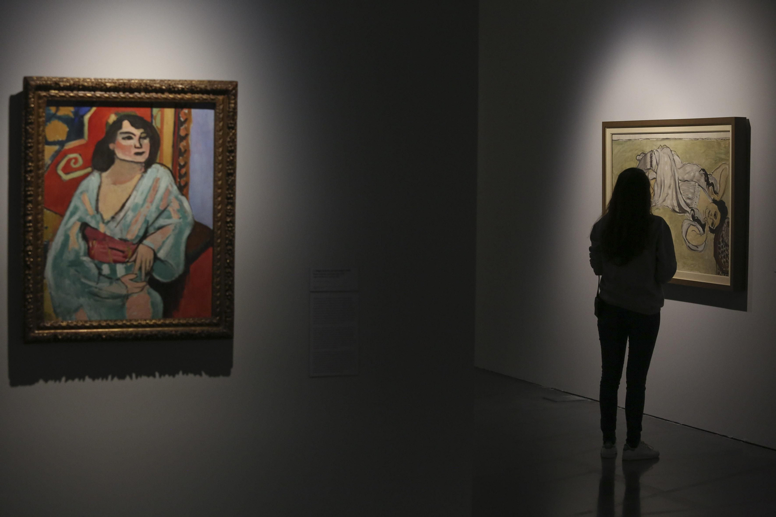 Las imágenes de la exposición 'Henri Matisse. Un país nuevo', en el Centro Pompidou Málaga