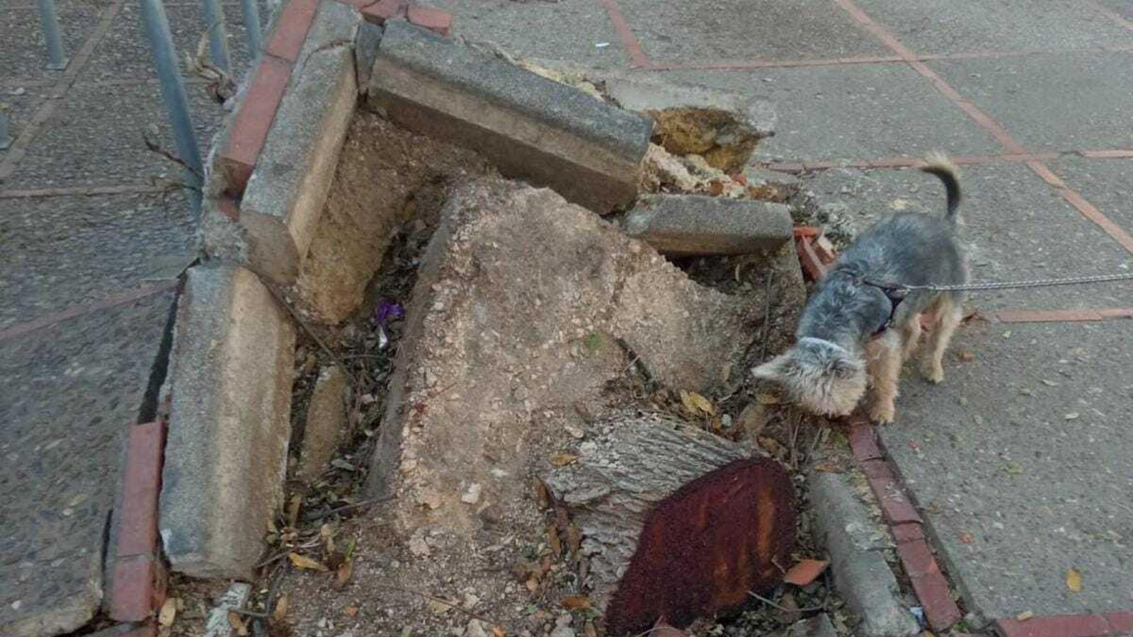 Estado en el que se encontraba el acerado, debido al temporal.