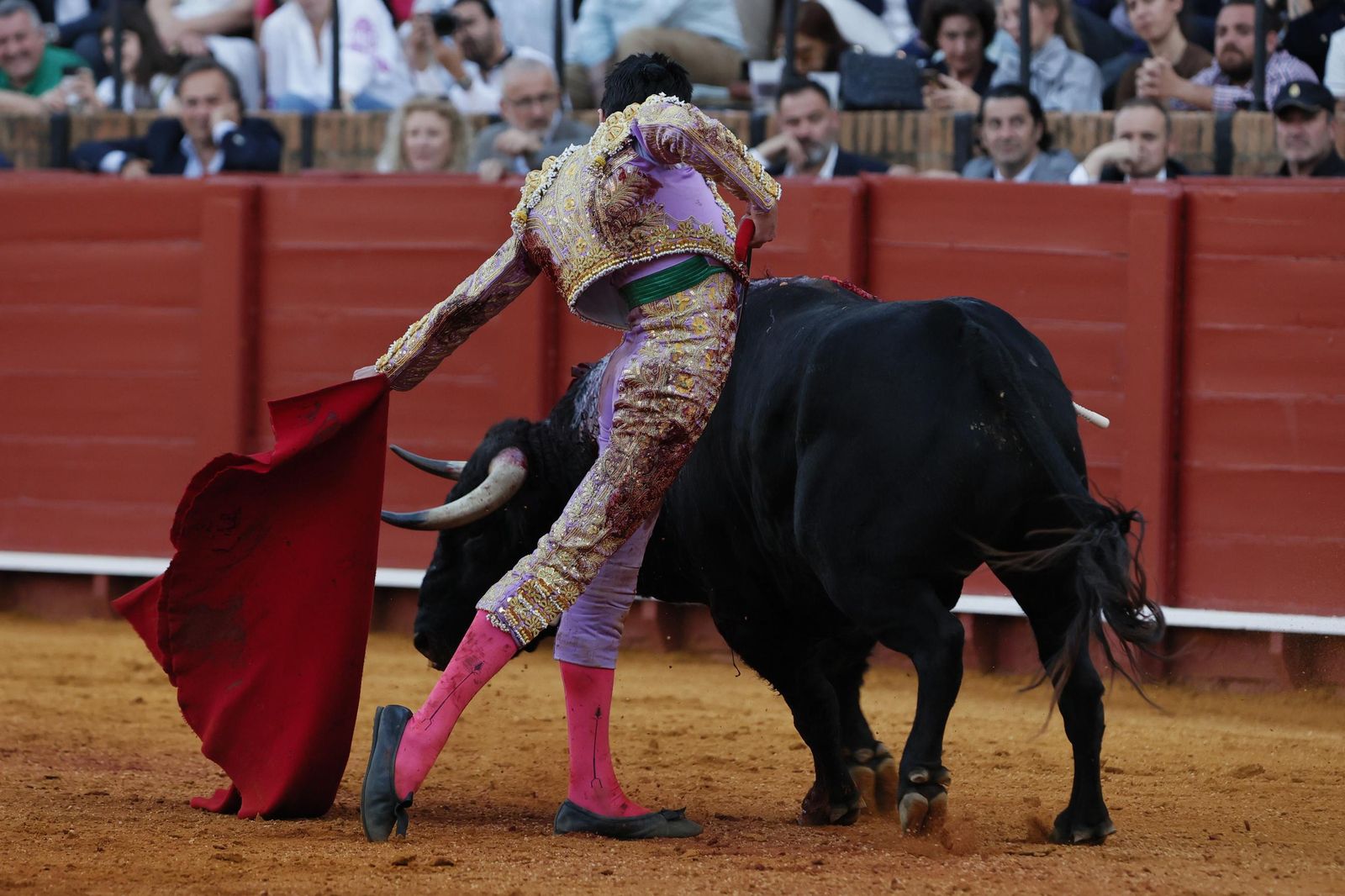 Las imágenes de la Novillada