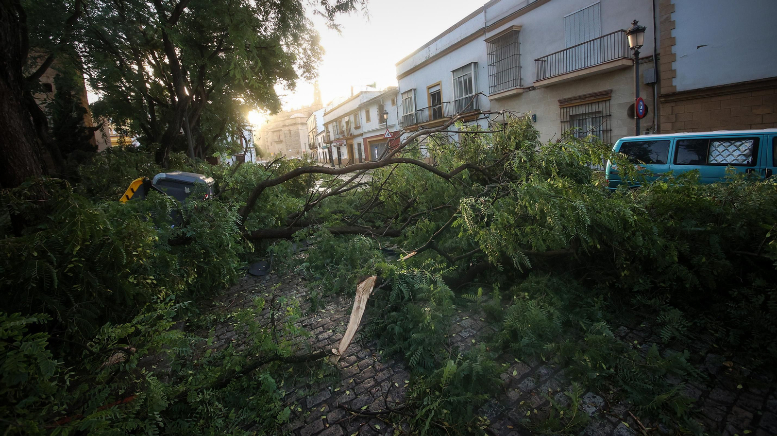 Caos en Jerez por los destrozos del temporal de viento