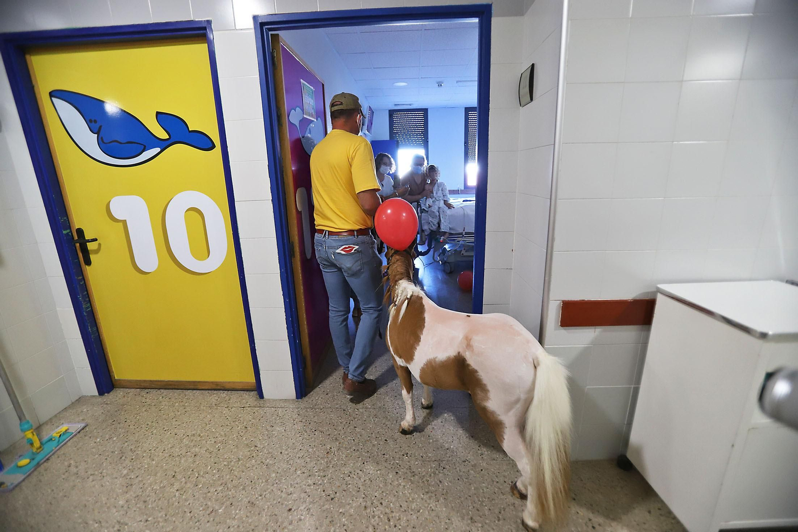 Los niños hospitalizados en el Juan Ramón Jiménez reciben la inesperada visita de unos caballos