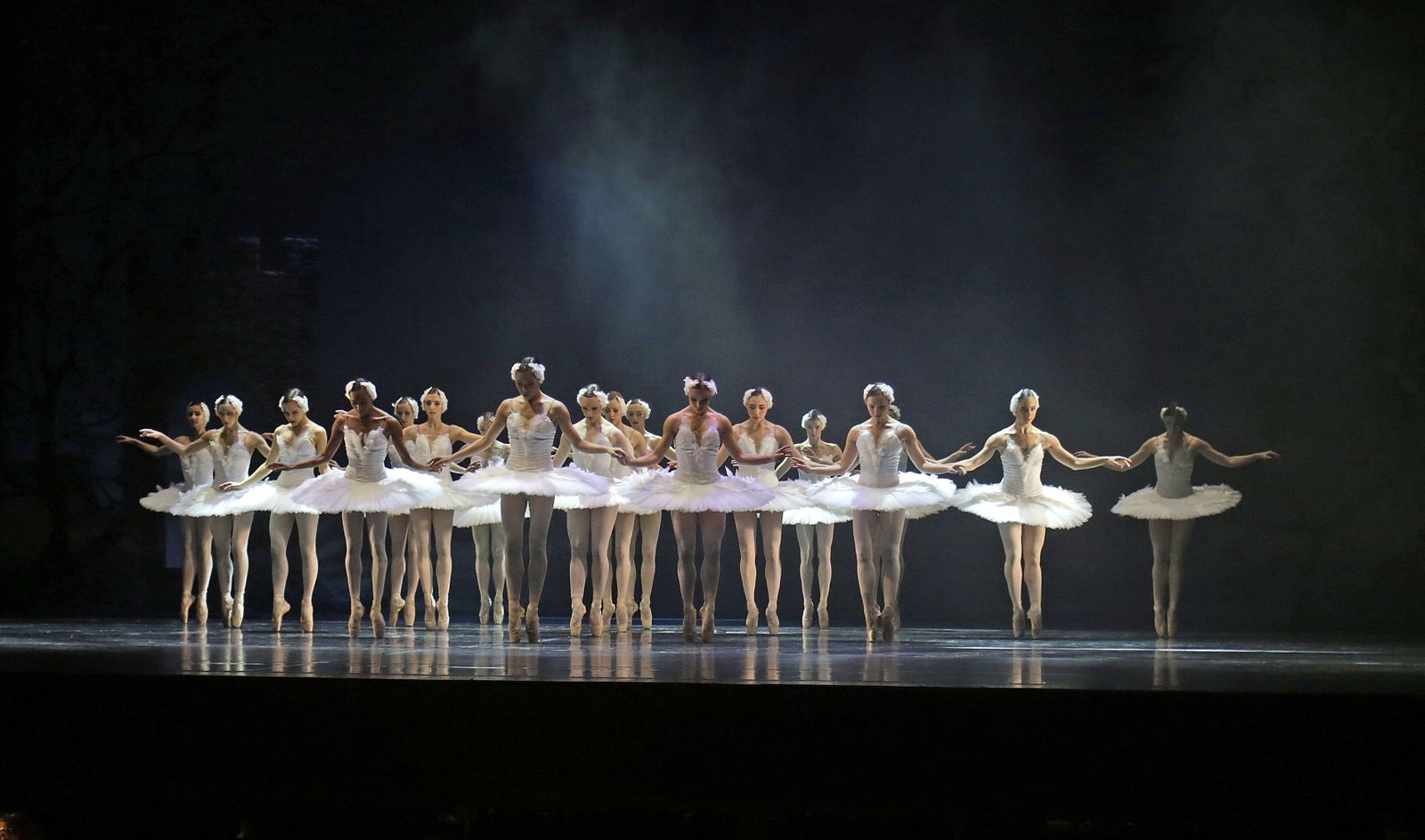 EL LAGO DE LOS CISNES