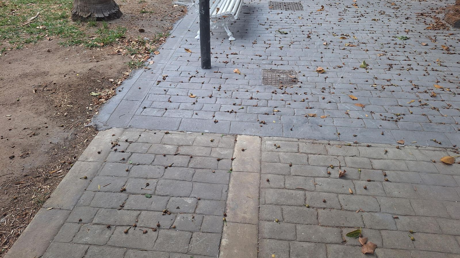 El nuevo diseño en Asdrúbal, junto a la fuente, que contrasta con el resto del recinto.