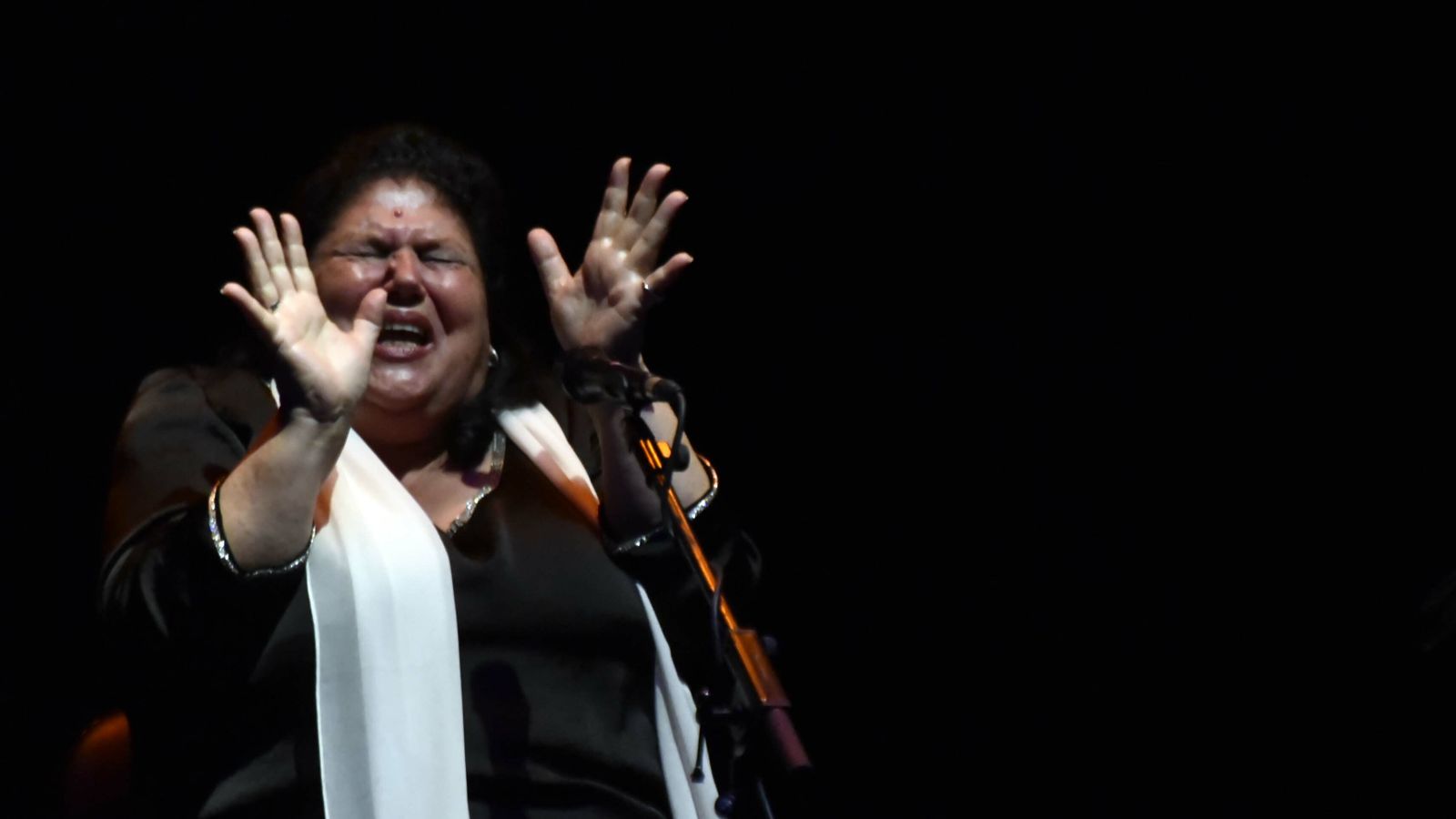 Las fotos de XXVII edición de La Palma de Plata