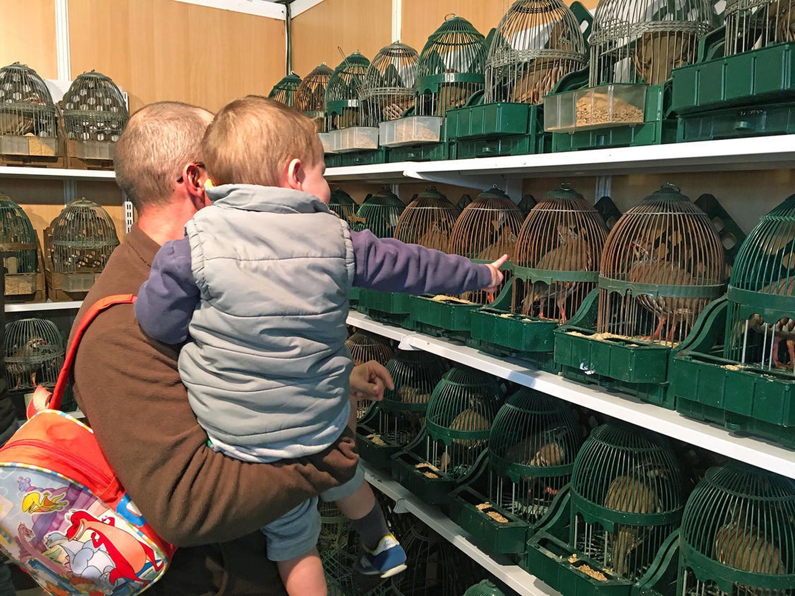 Un hombre observa con un niño pequeño las perdices de un expositor de la muestra.
