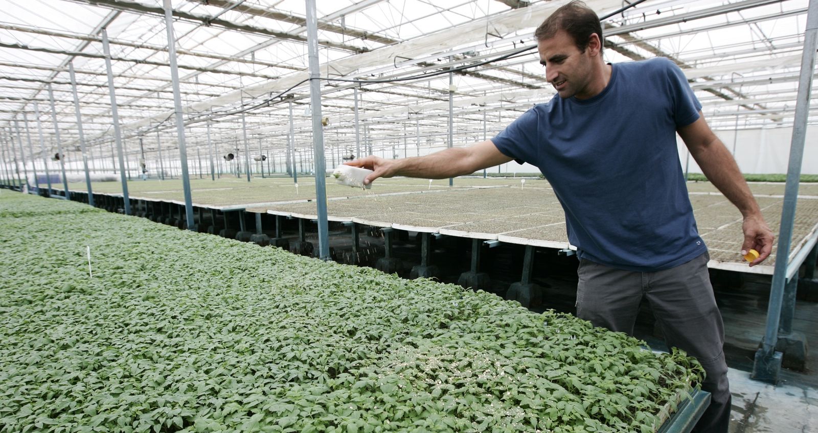 Los invernaderos son una de las estampas típicas de Vícar